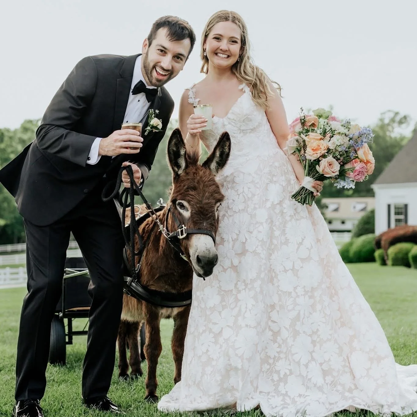 “Love, laughter, and a little donkey magic π«ππ Because every fairytale deserves a surprise guest star at Seven Paths Manor!”
#SevenPathsManor #WeddingWithAView #ForeverStartsHere #DonkeyCameo