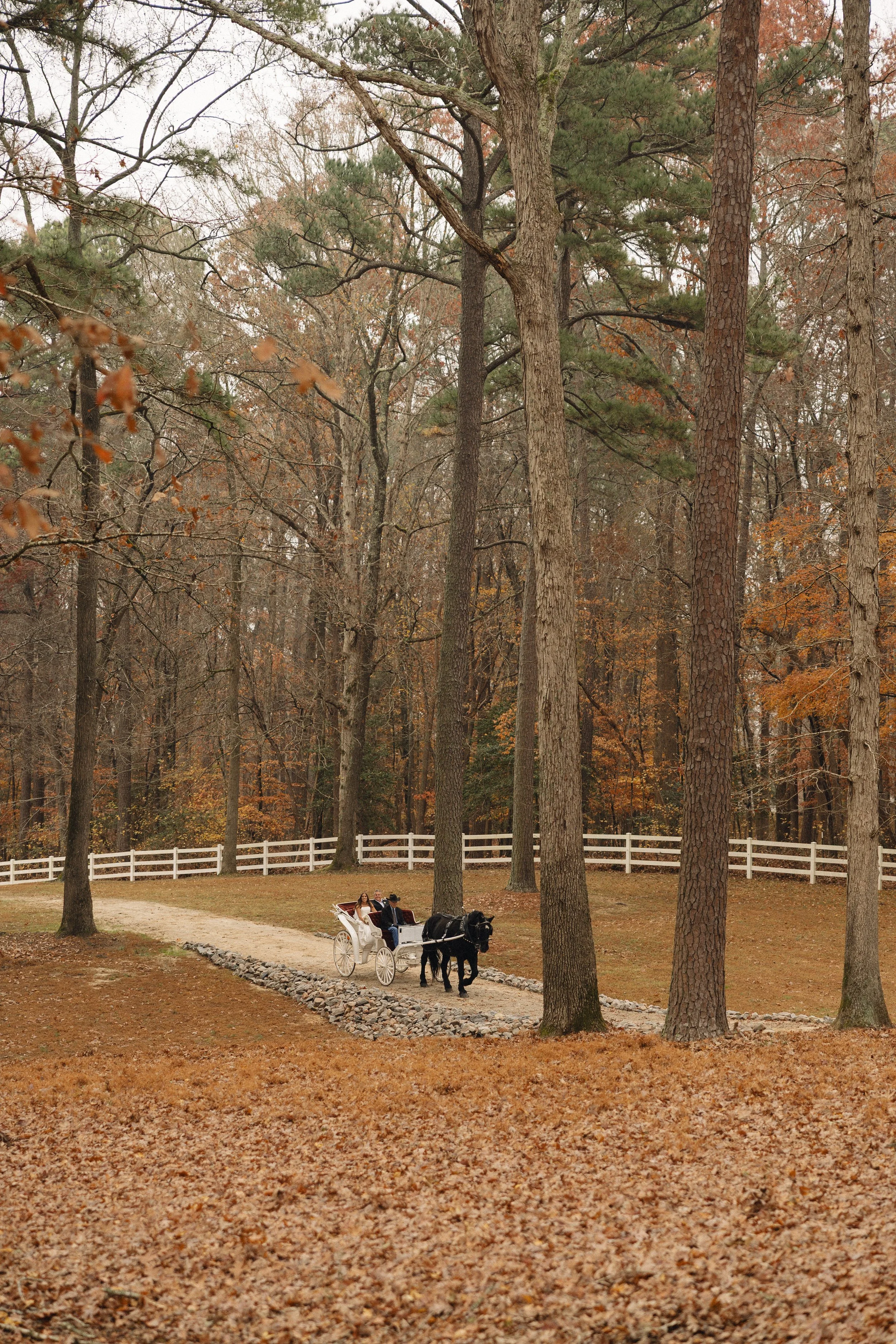 lesliedeannphotographyllc478.jpg