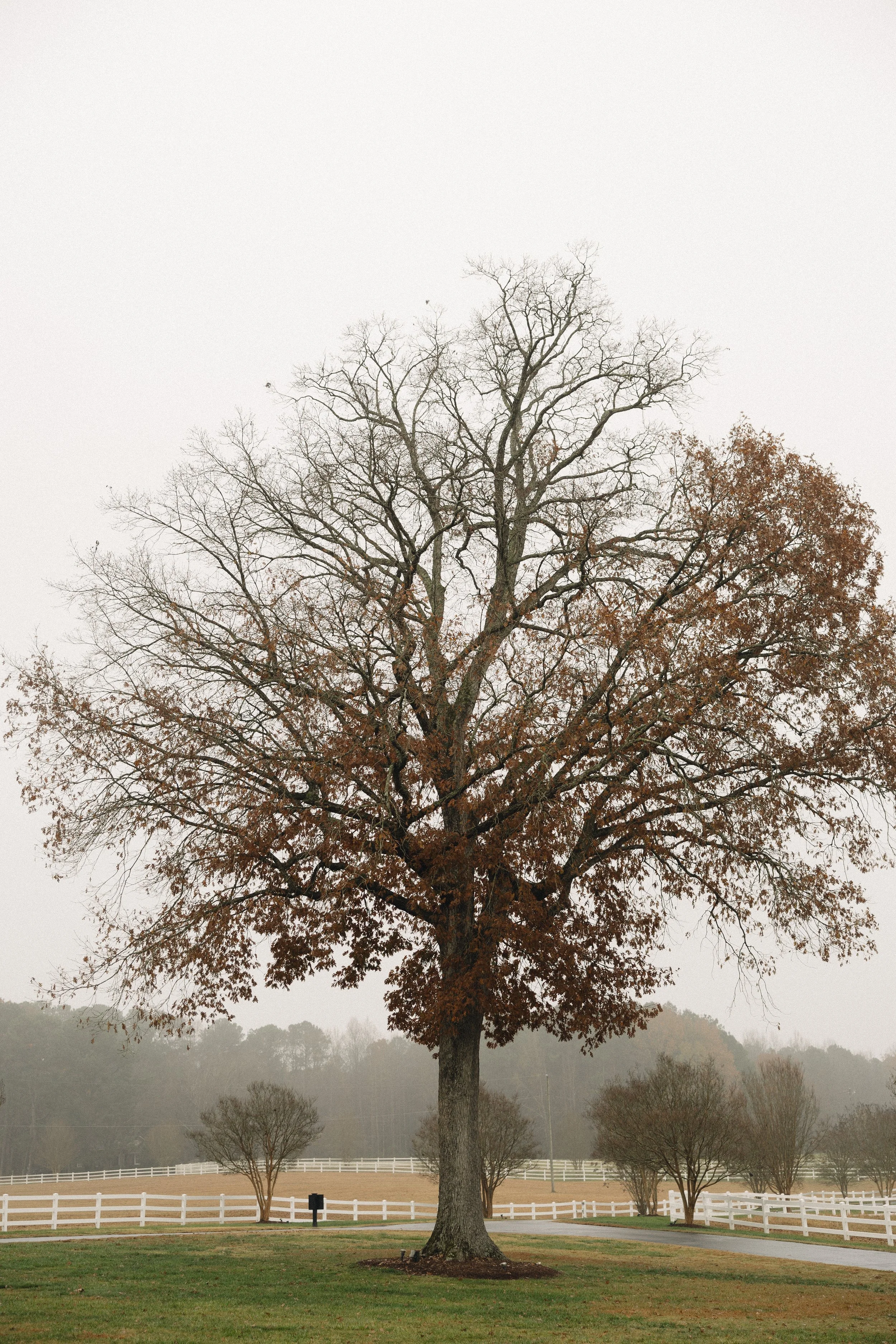 lesliedeannphotographyllc24.jpg