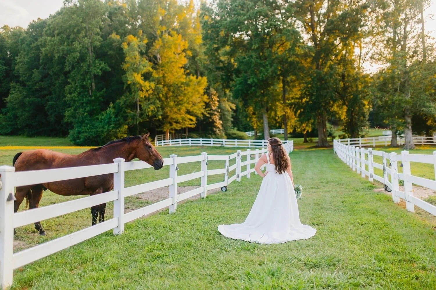 Seven Paths Paddock Path.JPG