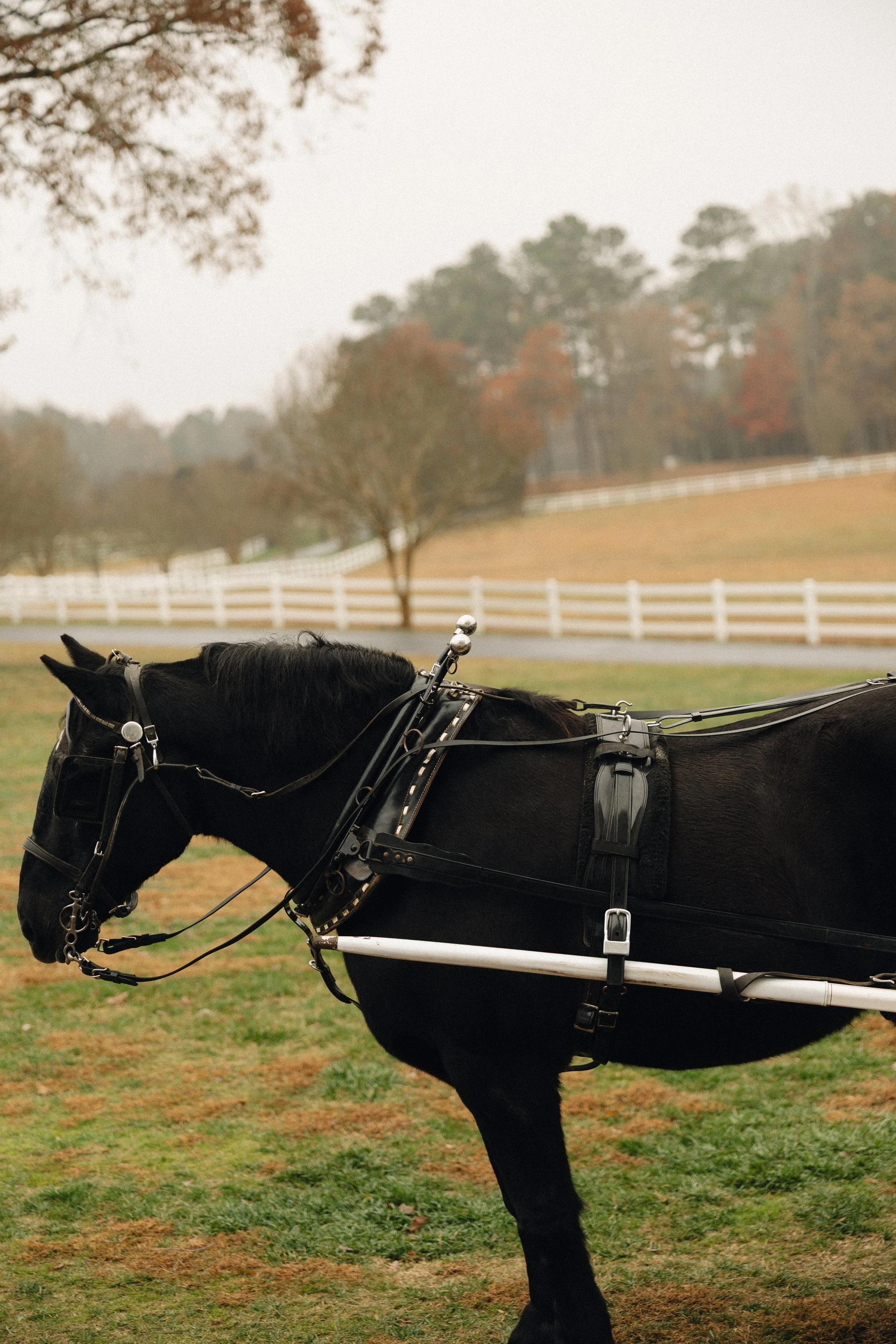 lesliedeannphotographyllc414.jpg