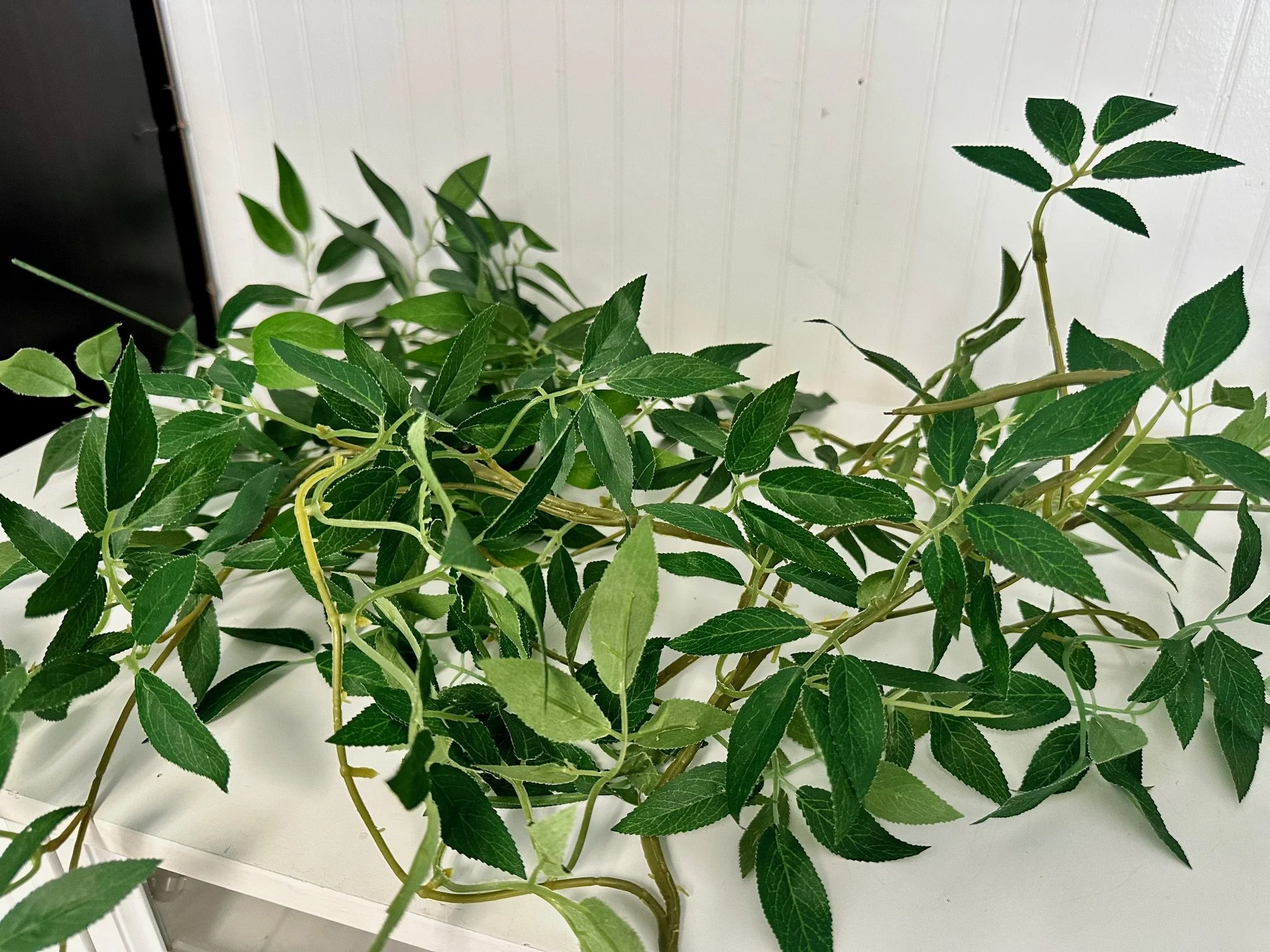 Italian Ruscus Greenery