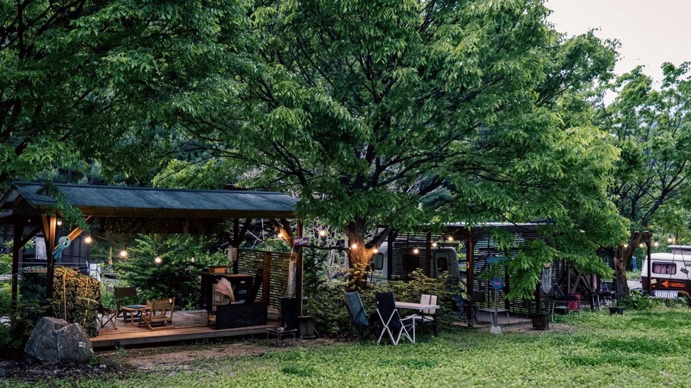 Secret Forest Gathering - Korea’s unique new festival