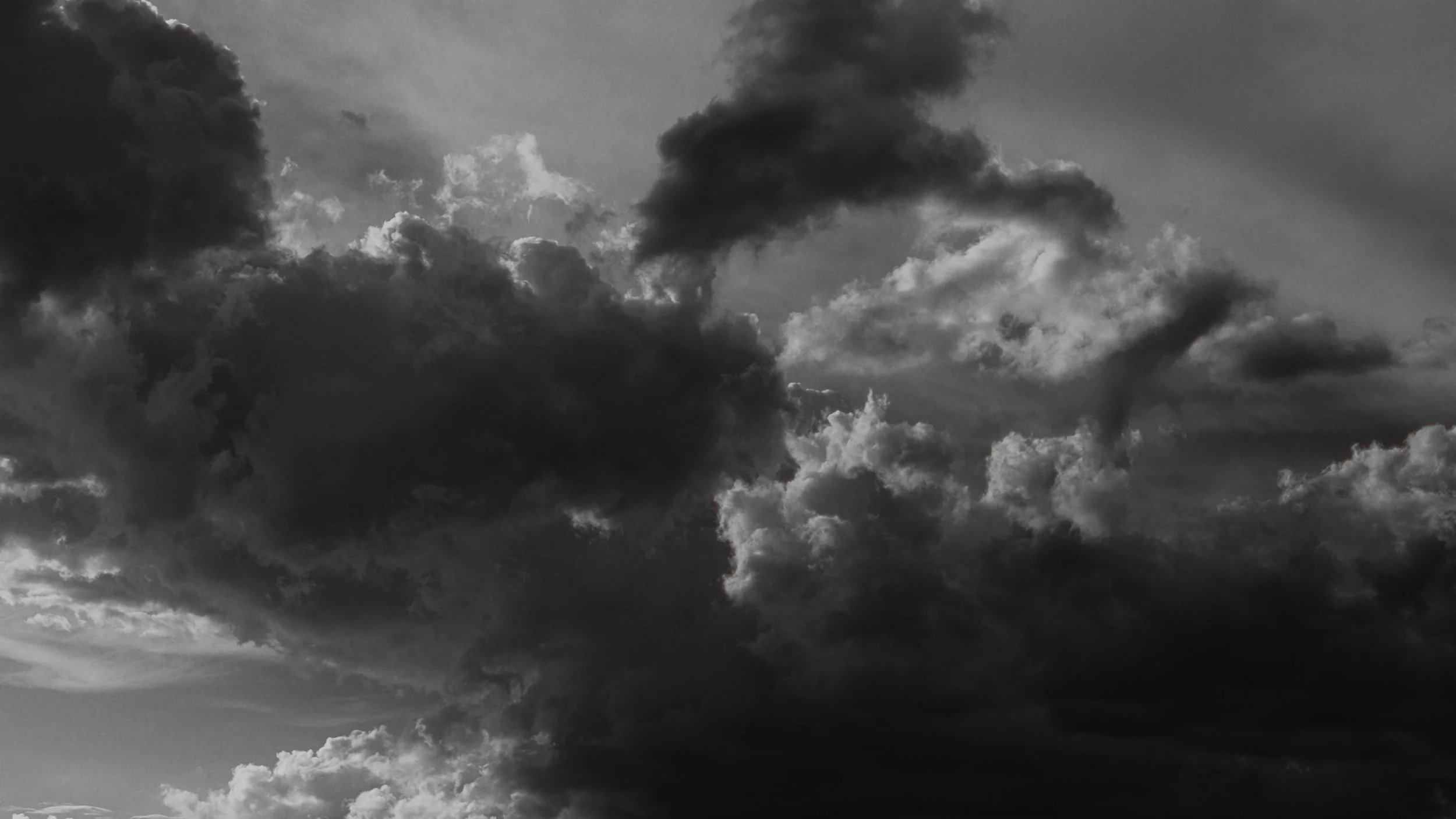 PAUL ANTHONY FRAMES_1.1.1.jpg