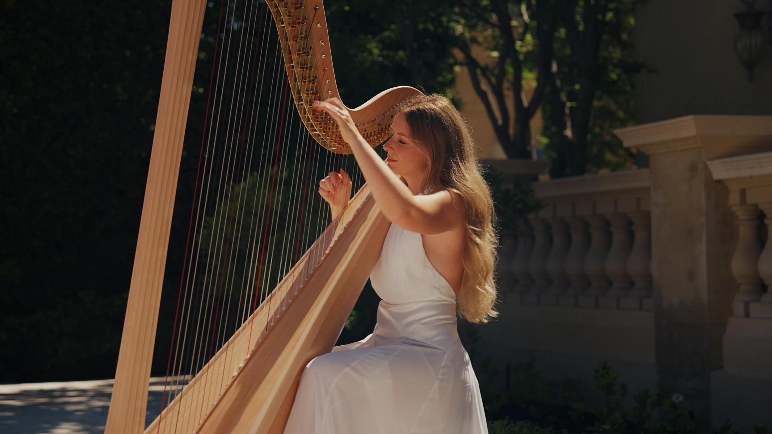 VOGUE X MESHKI FRAMES_1.18.1.jpg