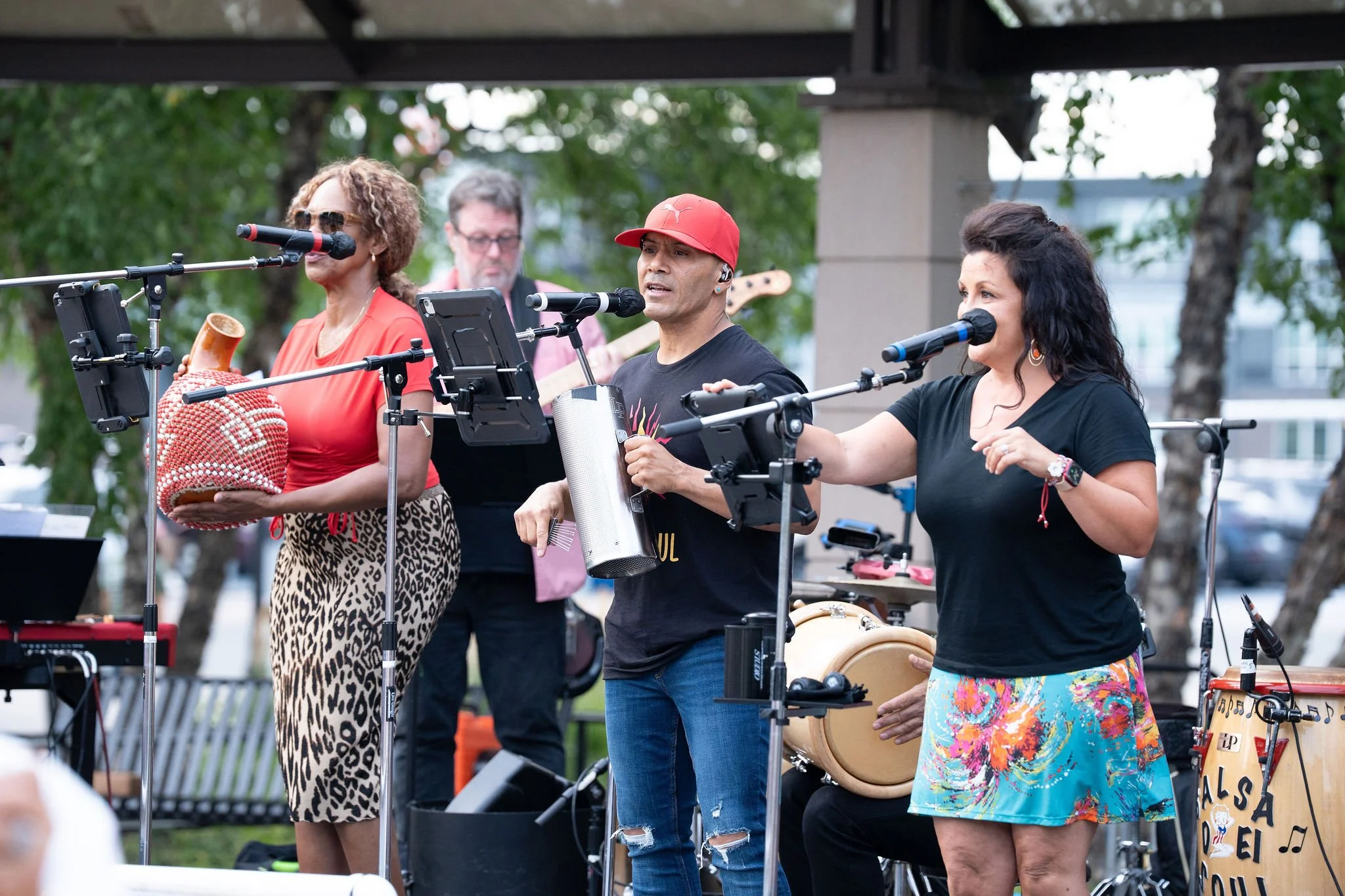 Salsa del Soul - Fridley Summer Concert Series