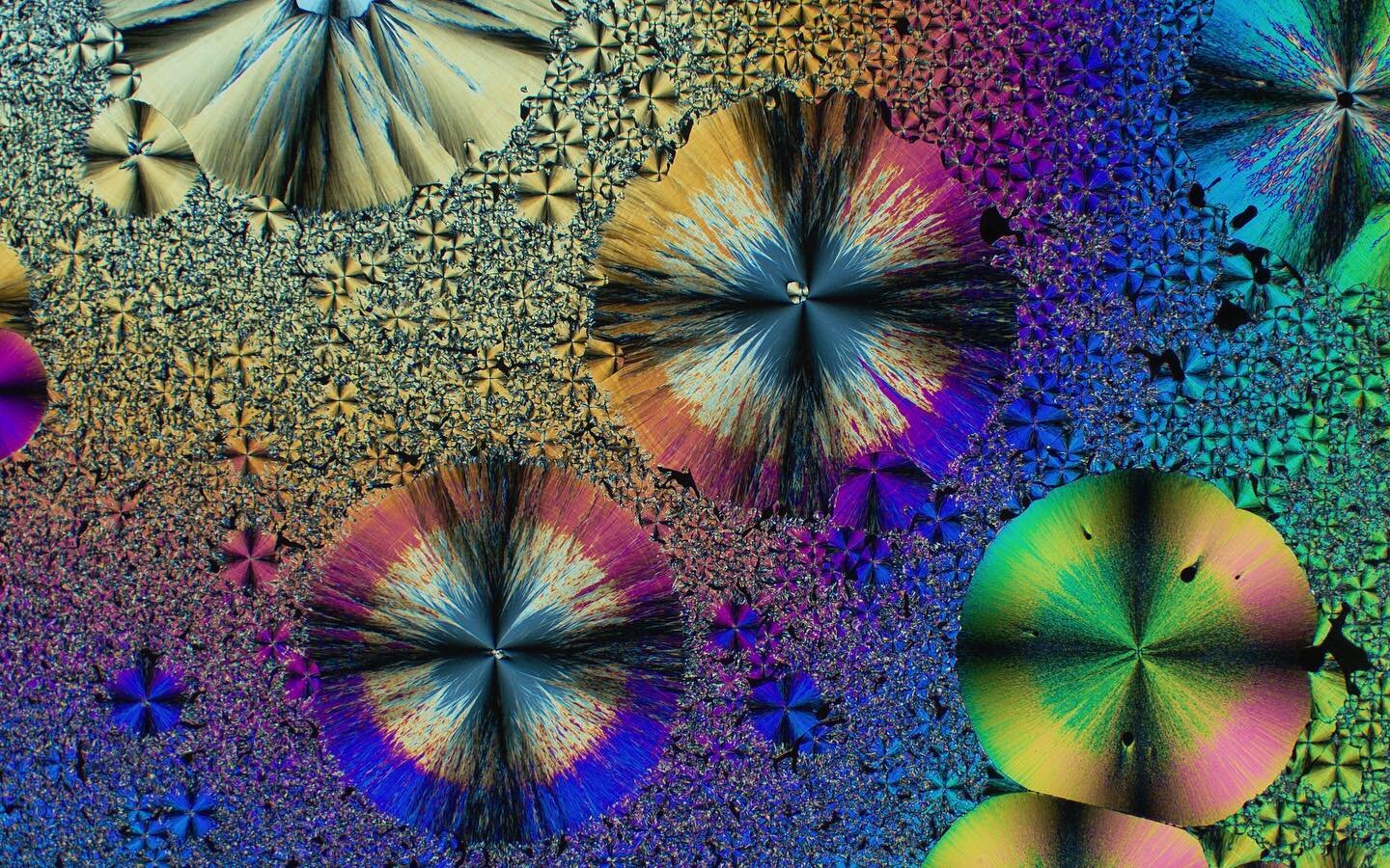 Sharing some simply beautiful work by @khariman08:
Hi! My name is Noalle, and I am a Chemistry PhD candidate at the @nyuniversity Molecular Design Institute. I use optical (visible light) microscopes to study the wonderful world of molecular crystals