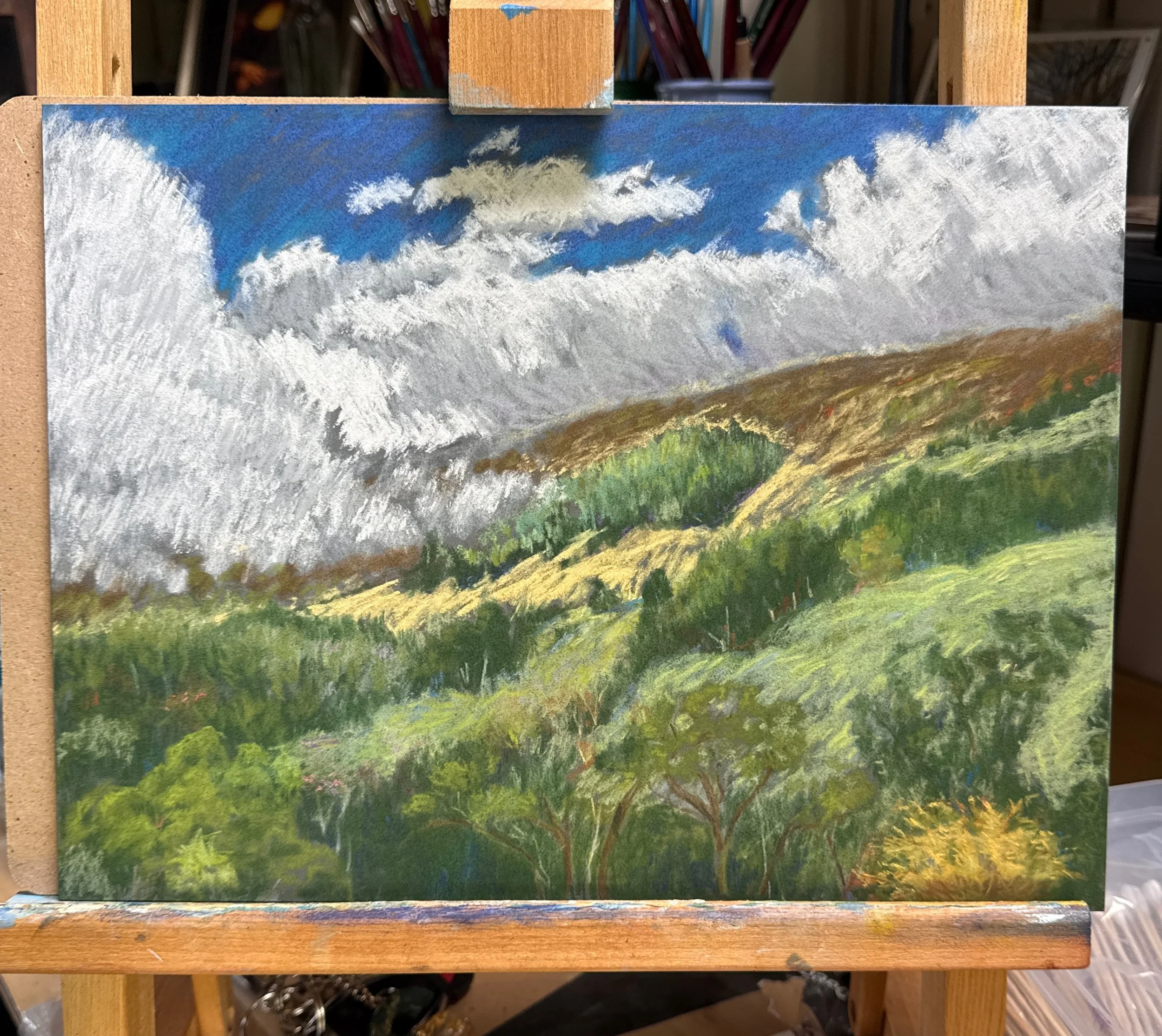 Sandra Edwards Painting 2026 Easel.jpg