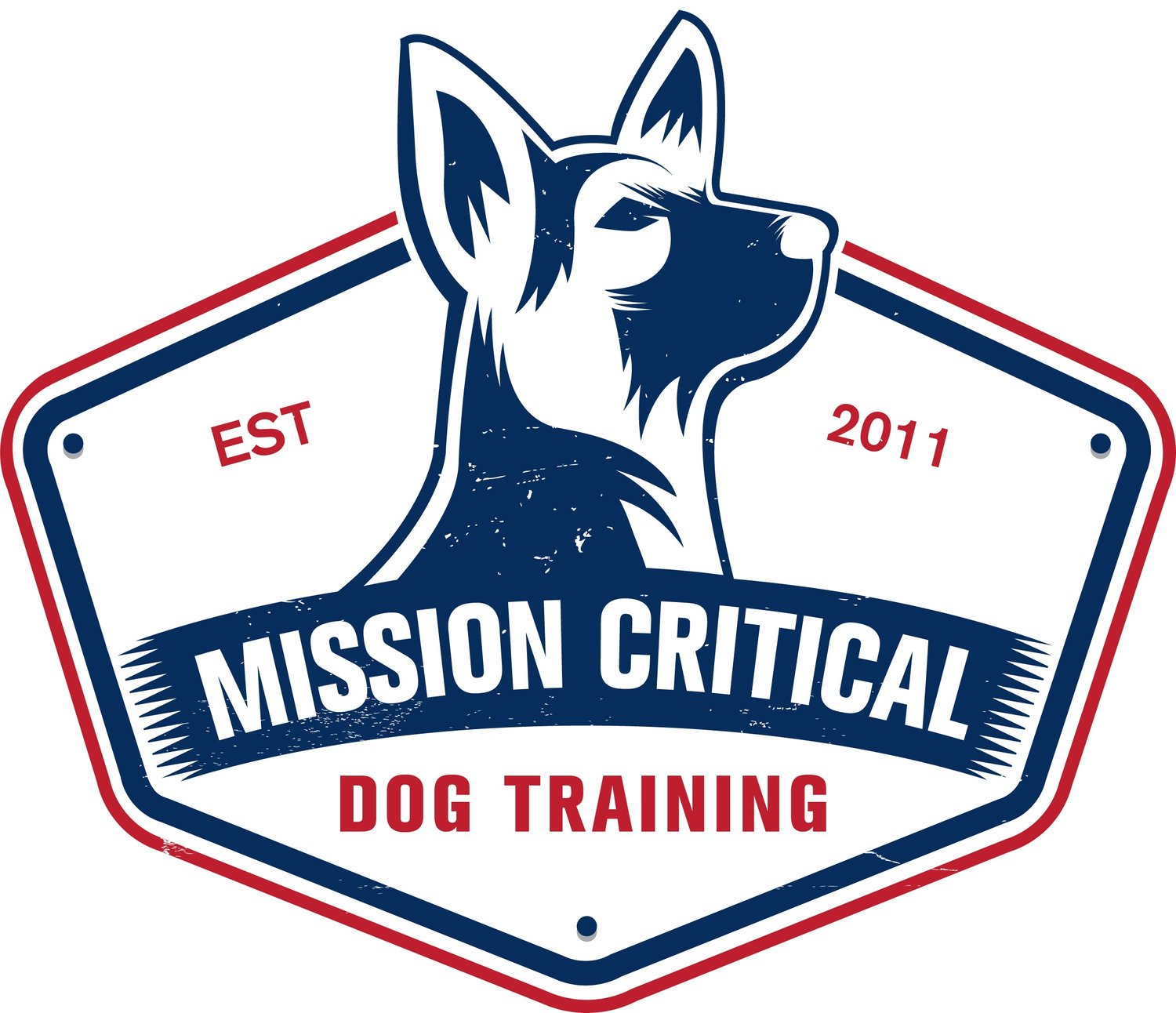 Denton Dog Trainer | Mission Critical Dog Training | Dog Training