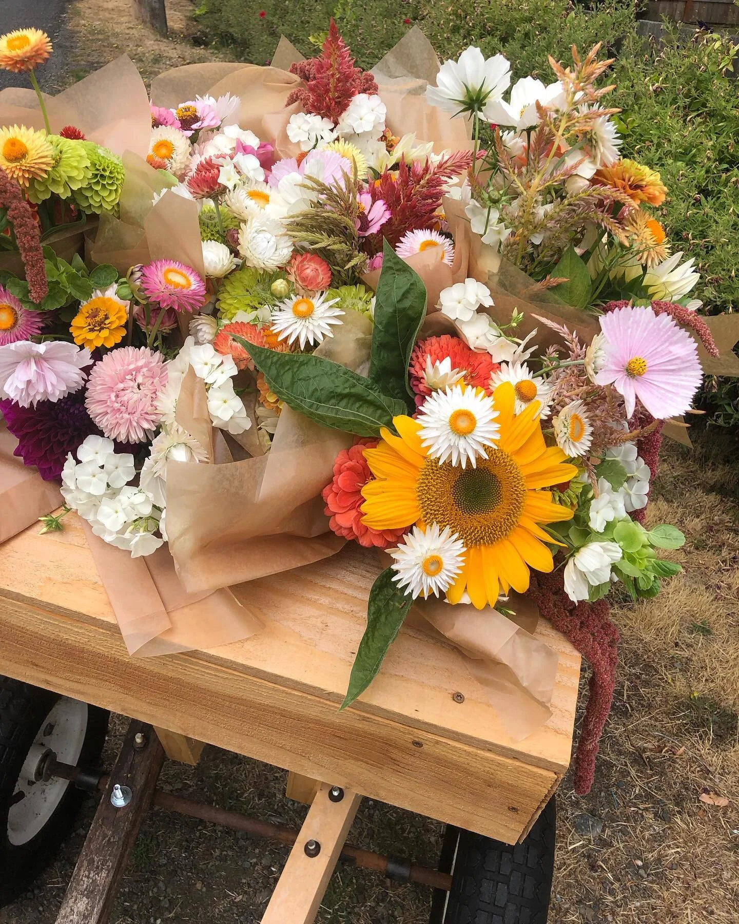 #littlefreeflowercart is stocked and ready for pick-ups. Sunflowers and dahlias really make a difference.