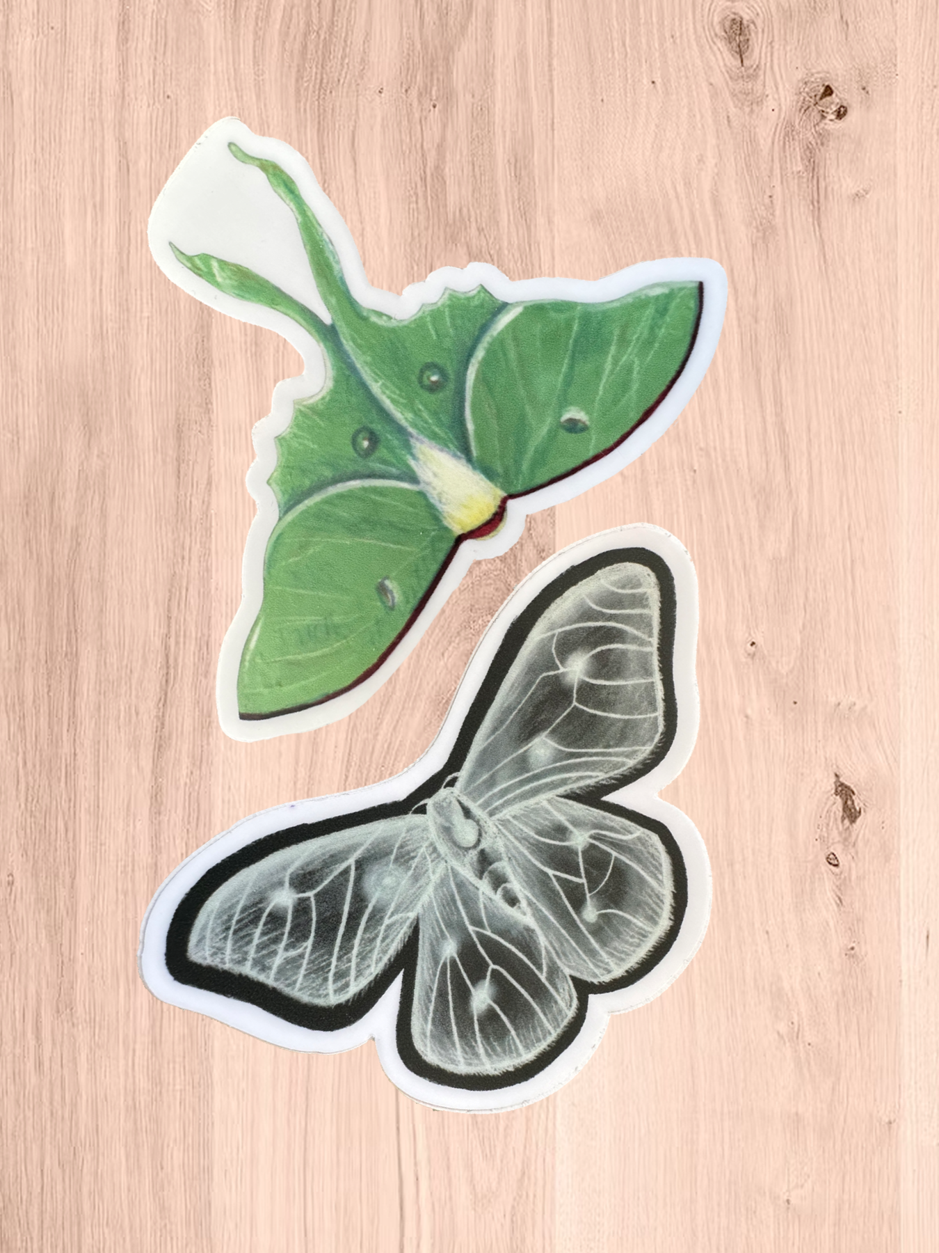 Moth Sticker Pack