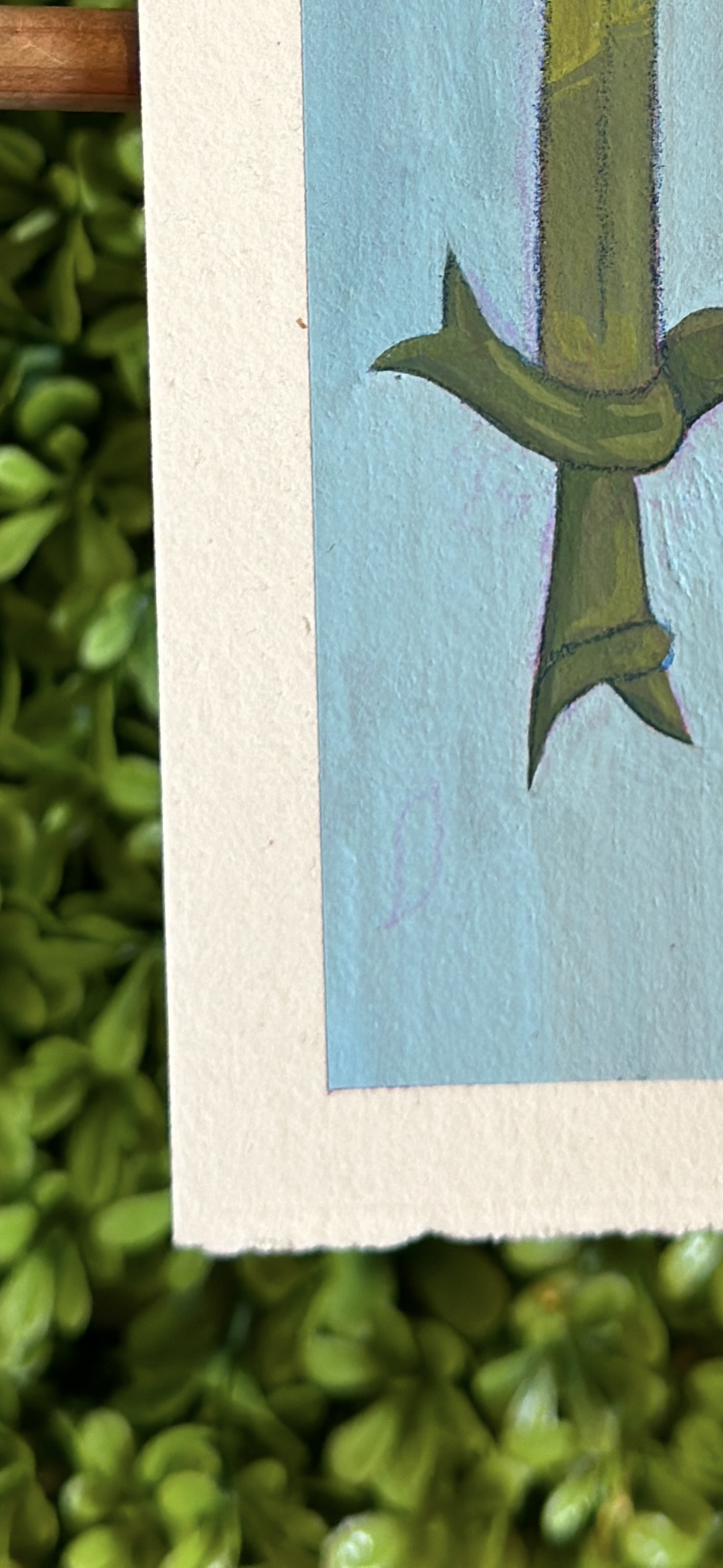 IMG_1423.png