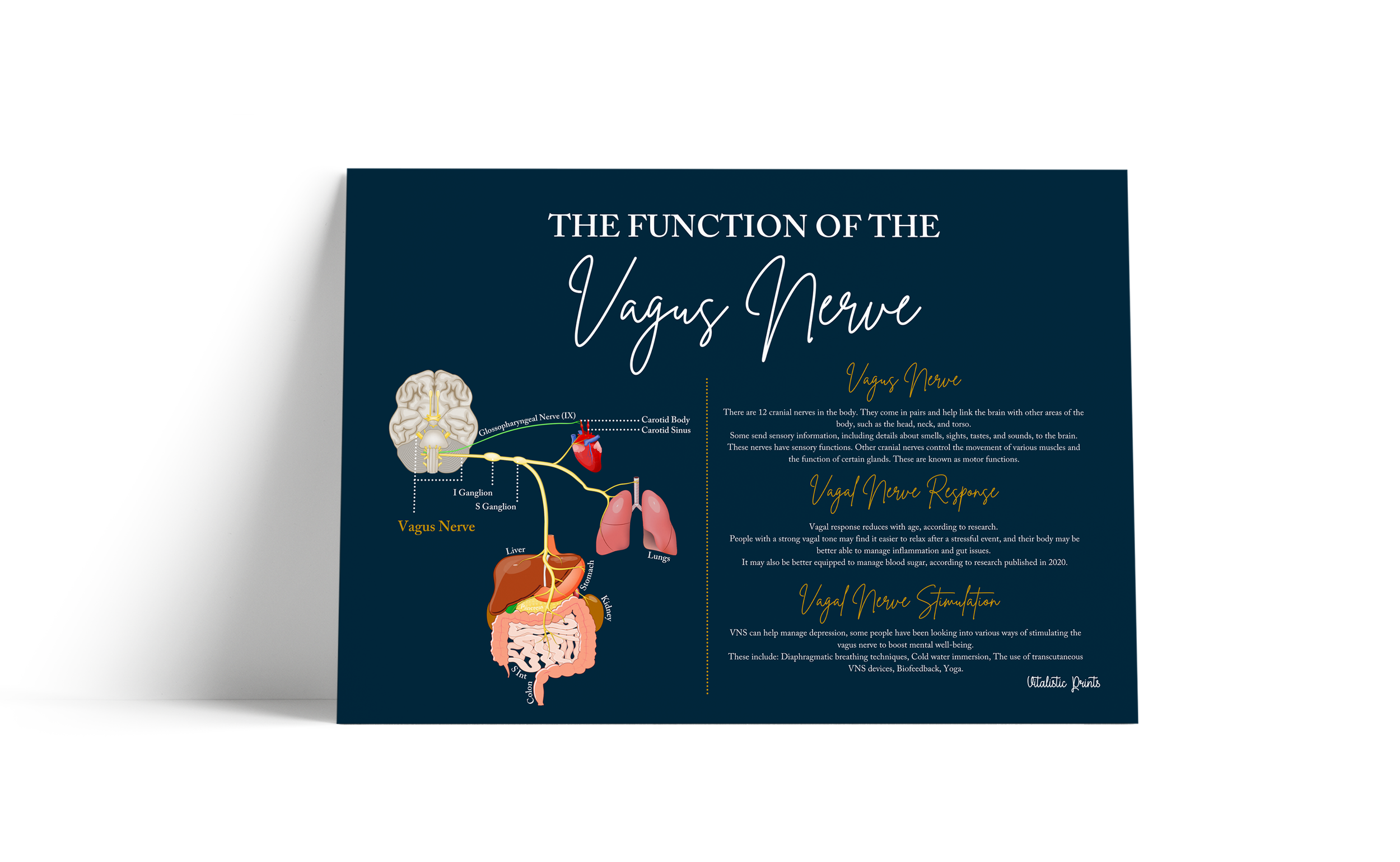 Free-Landscappe-&-Portrait-Poster-MockUp.png