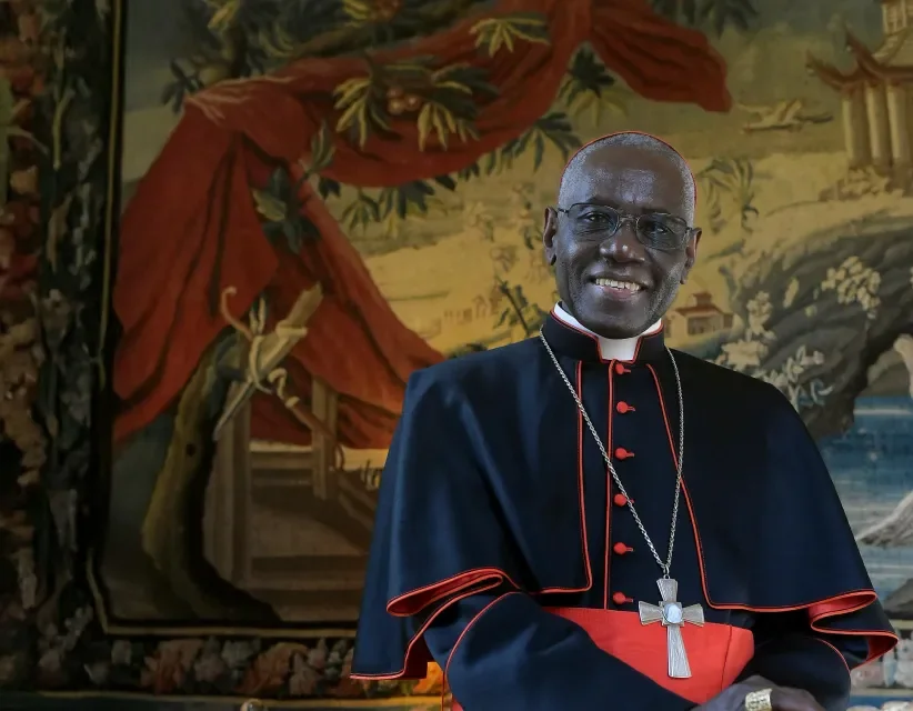 KARDINÁL SARAH: NEPOTREBUJEME ĎALŠIU SVETSKÚ INŠTITÚCIU