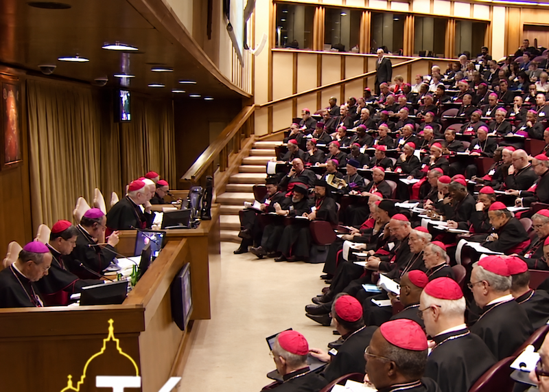 HÁDANKA SYNODALITY: KARDINÁL BRANDMÜLLER A MEFISTOFELOVA PASCA