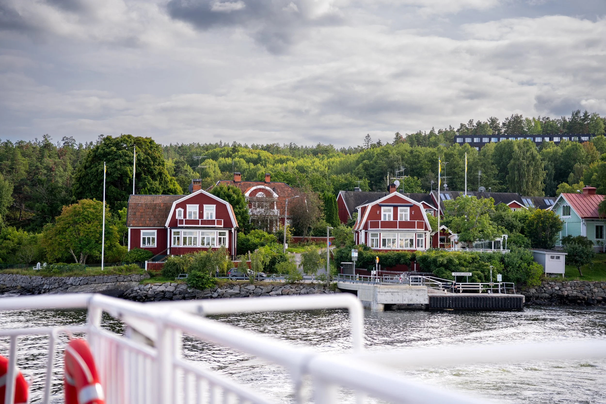 _DSC3107.jpg