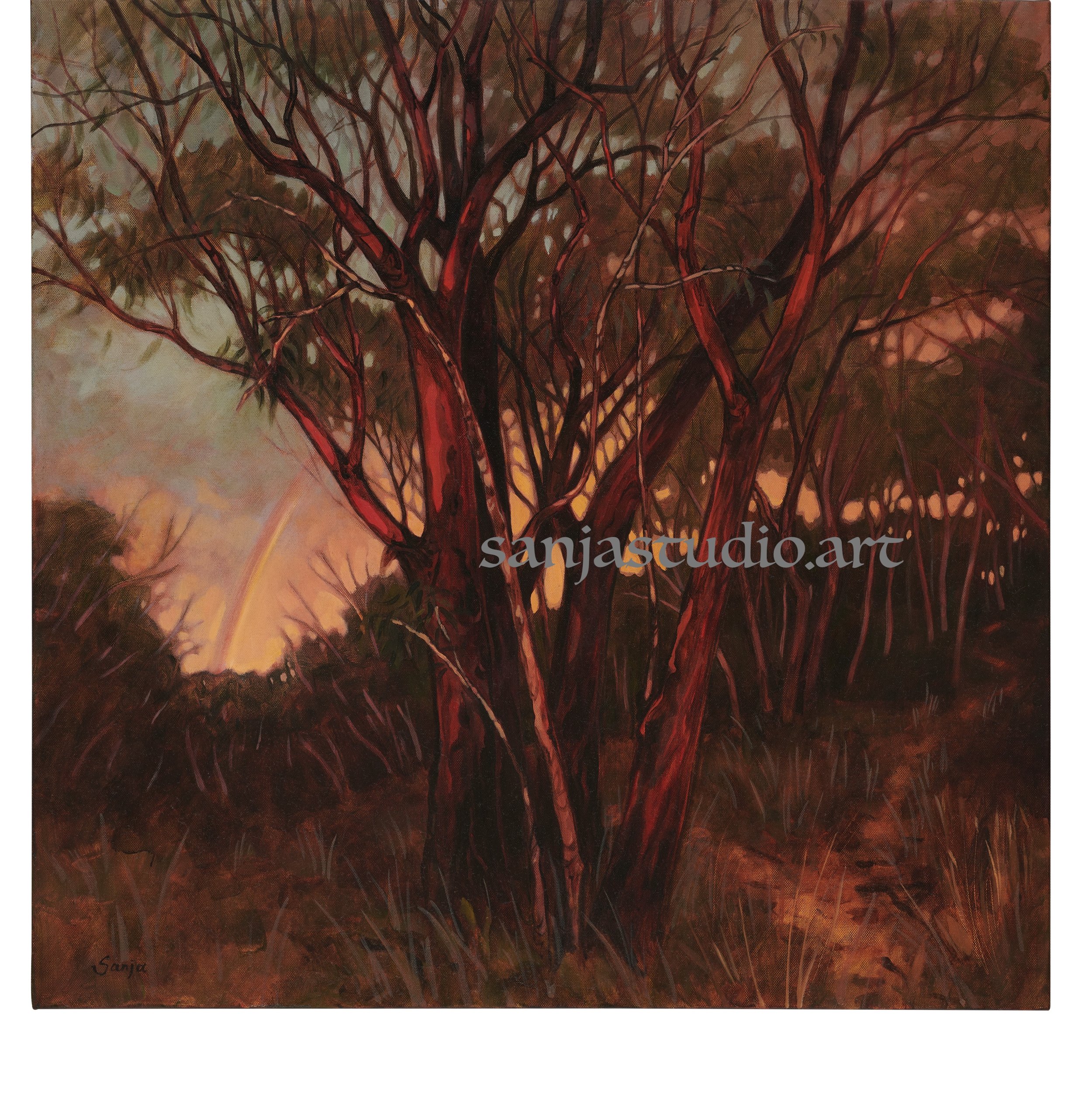 Sanja Artwork December 2018_30.jpg