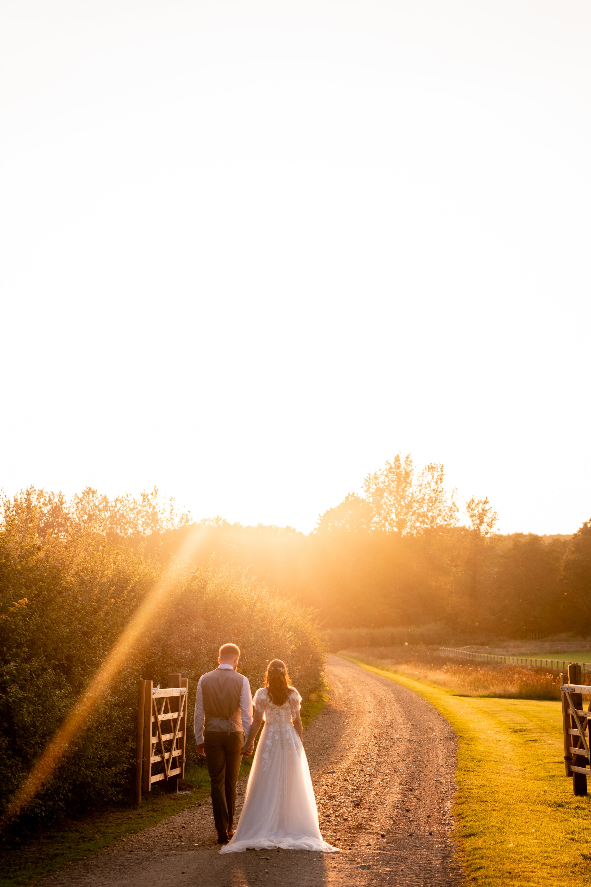 Shotesham Park wedding photography golden hour