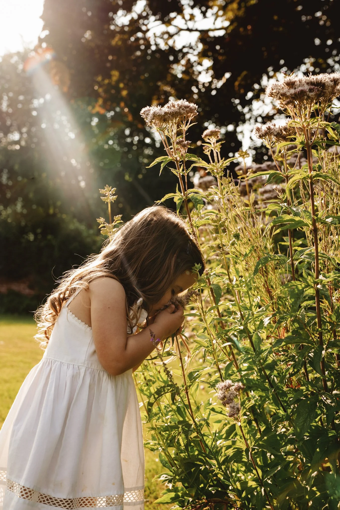 A young girl in a white dress stands in a garden during golden hour, smelling or holding a flower, with sun rays filtering through trees in the background.