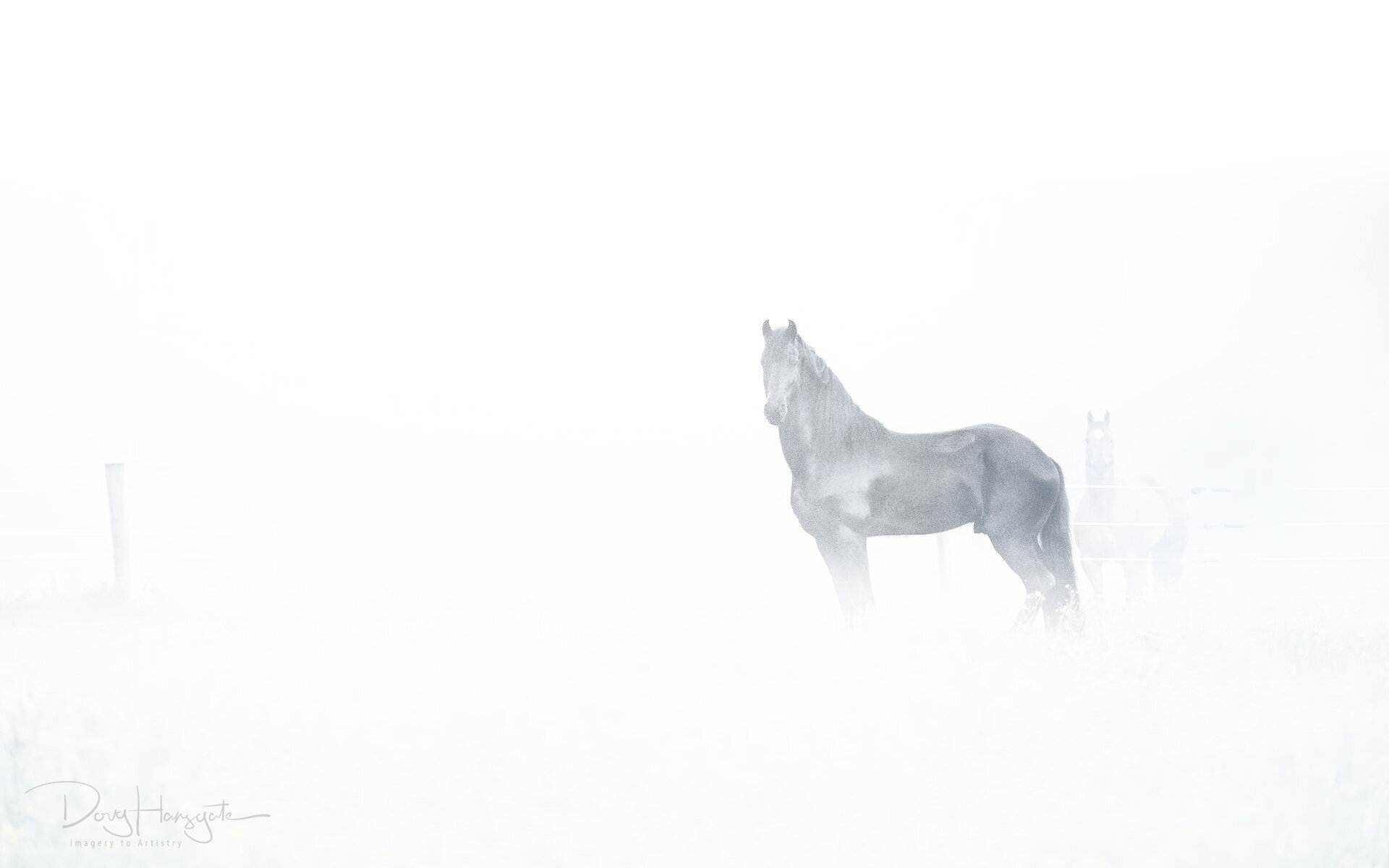 20190607__6070004-Edit_Web.jpg