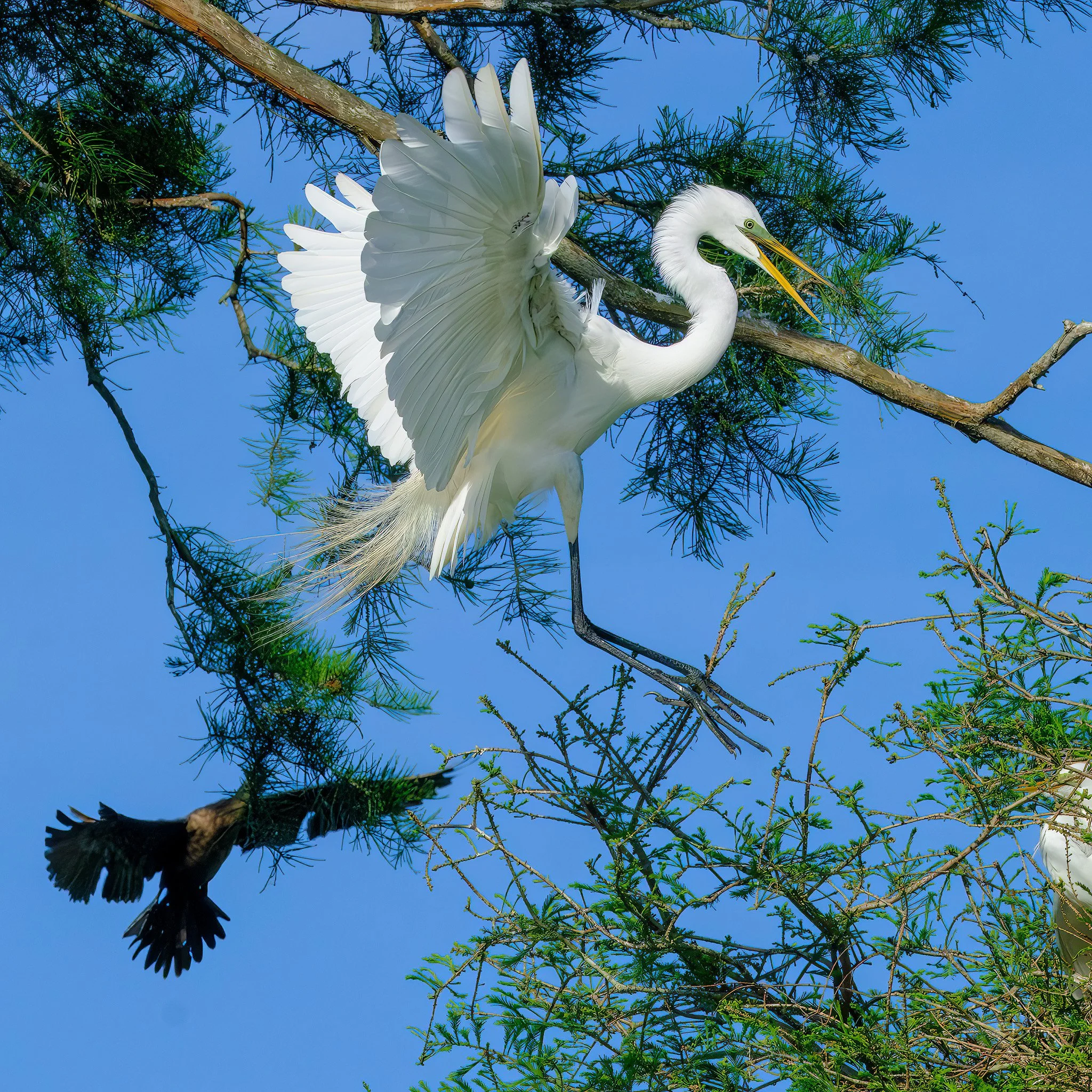 20250429__DSF7840-Enhanced-NR copy.jpg