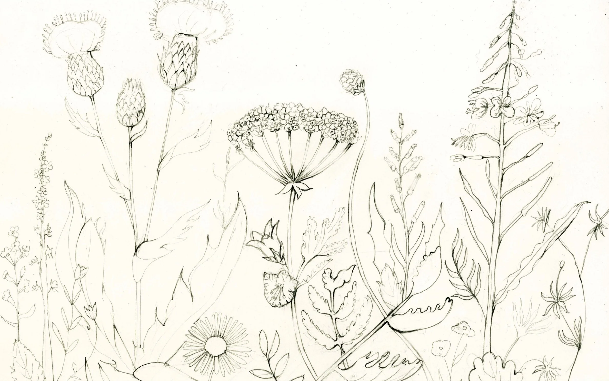 CHAPS MAGAZINE FINAL copy_Page_12.jpg