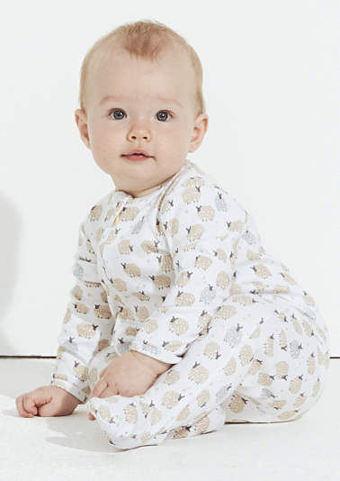 Screenshot 2026-01-24 at 3.57.44 PM.png