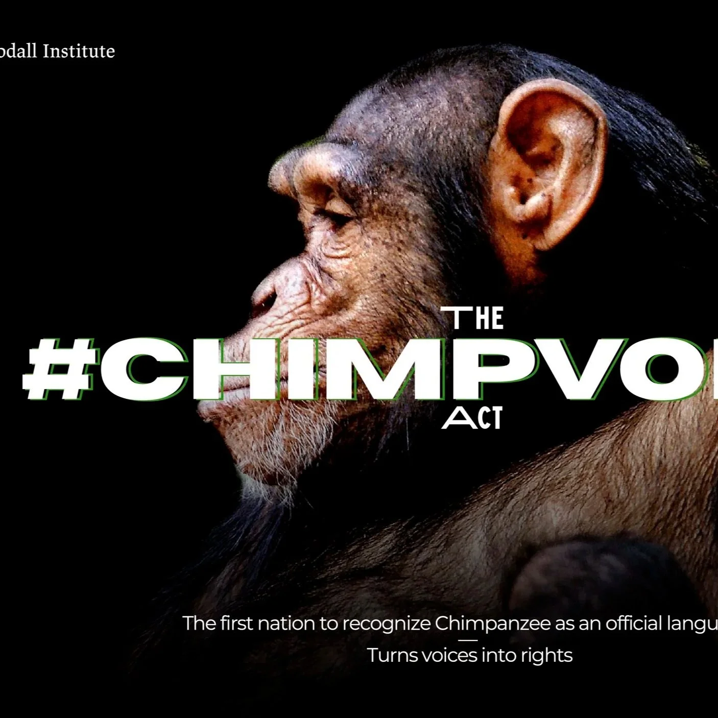 The #ChimpVoice Act