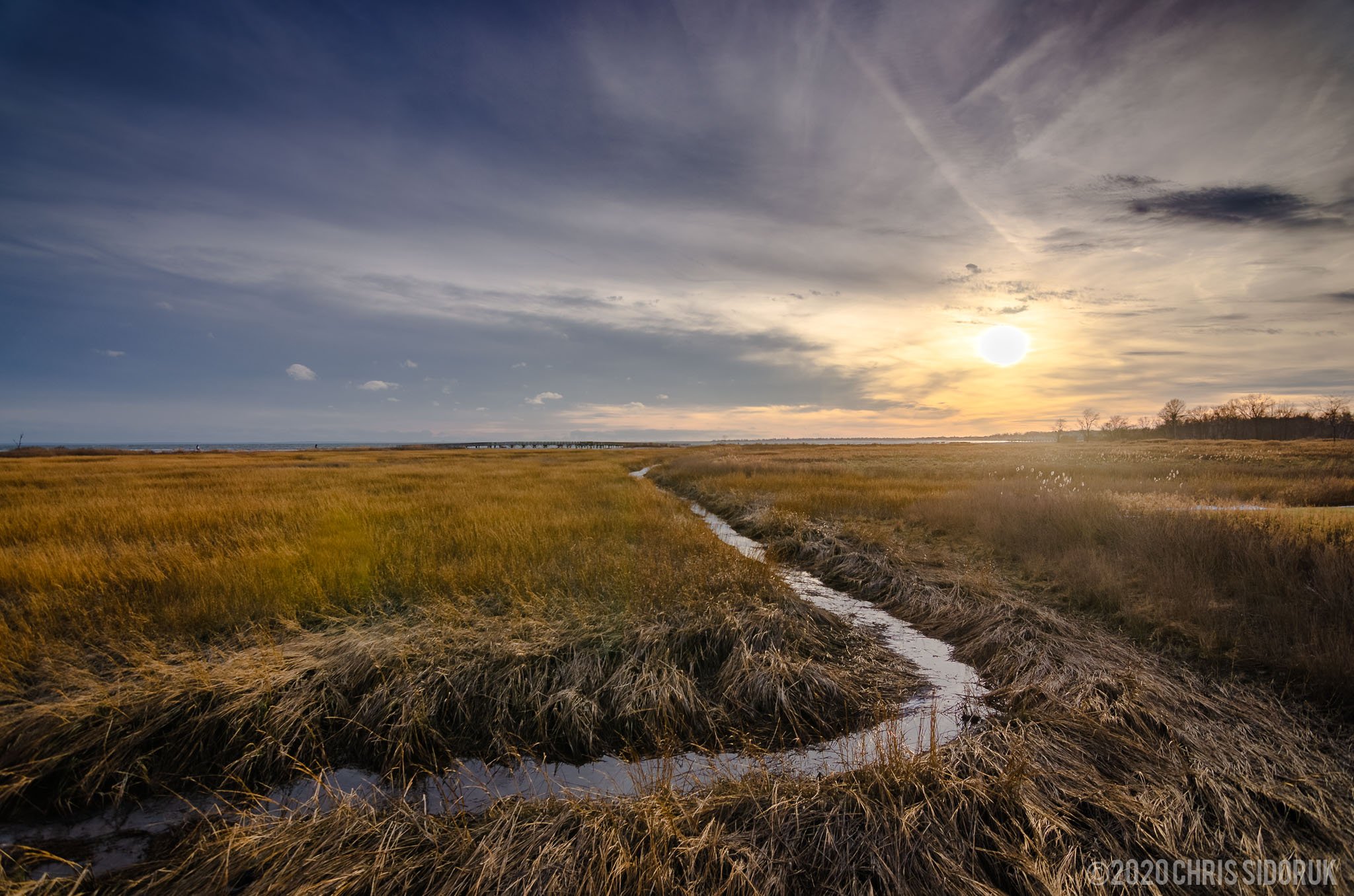 Winding tidal creek through marsh grass at Silver Sands State Park in Milford, Connecticut during late afternoon light
