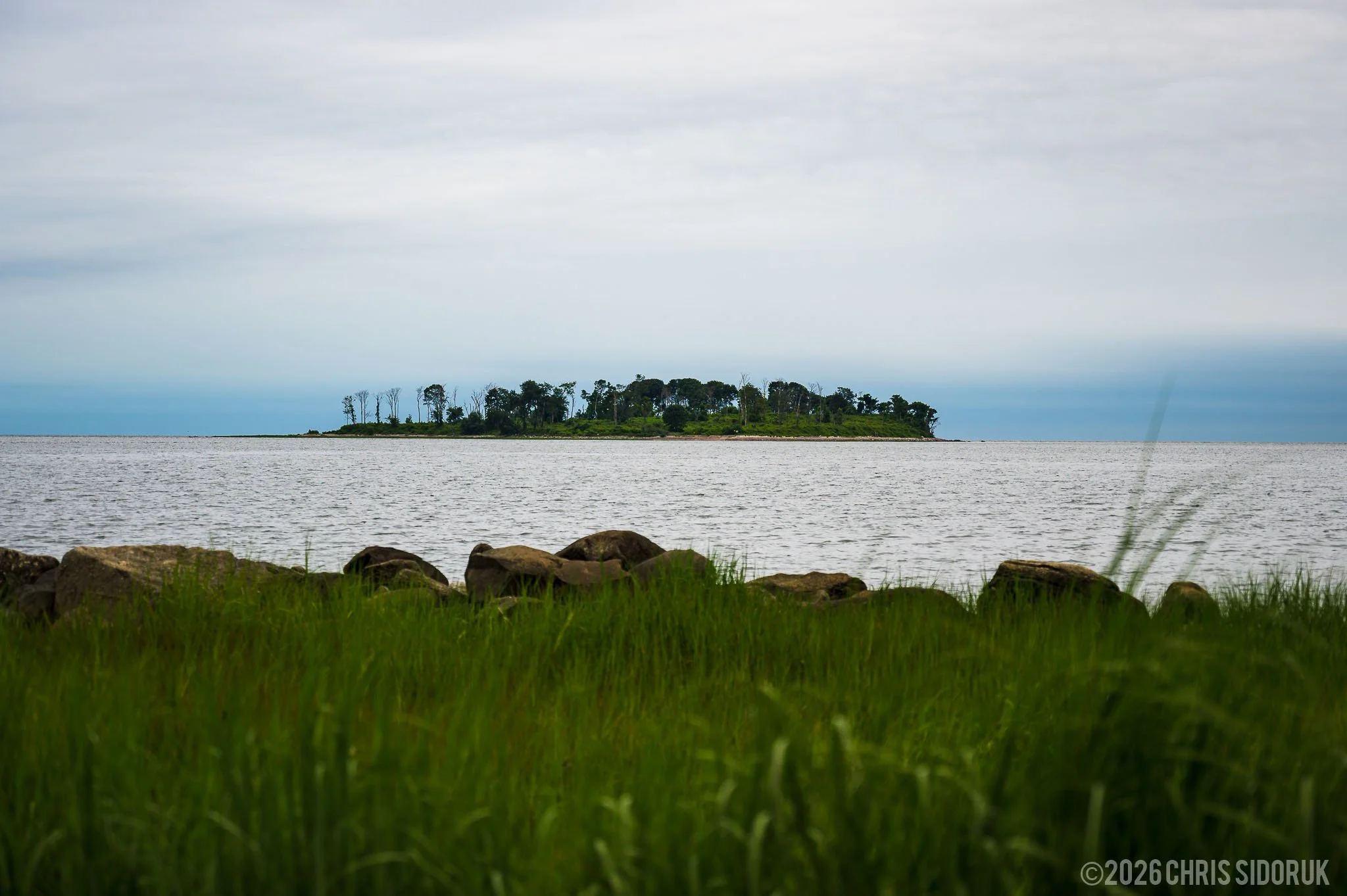 View of Charles Island from Silver Sands State Park in Milford, Connecticut with coastal grass and shoreline rocks in the foreground