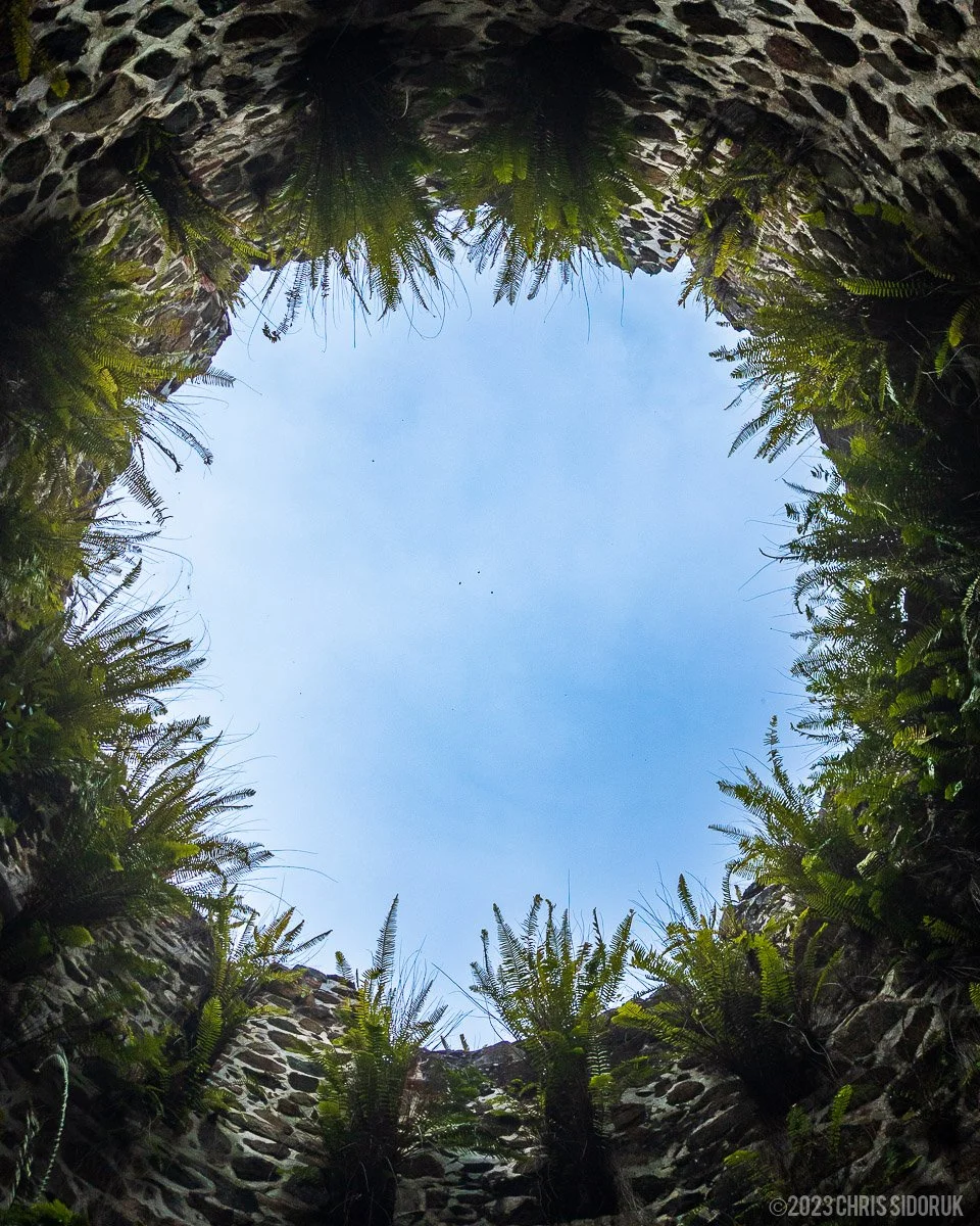 Creamery-St John-122.jpg