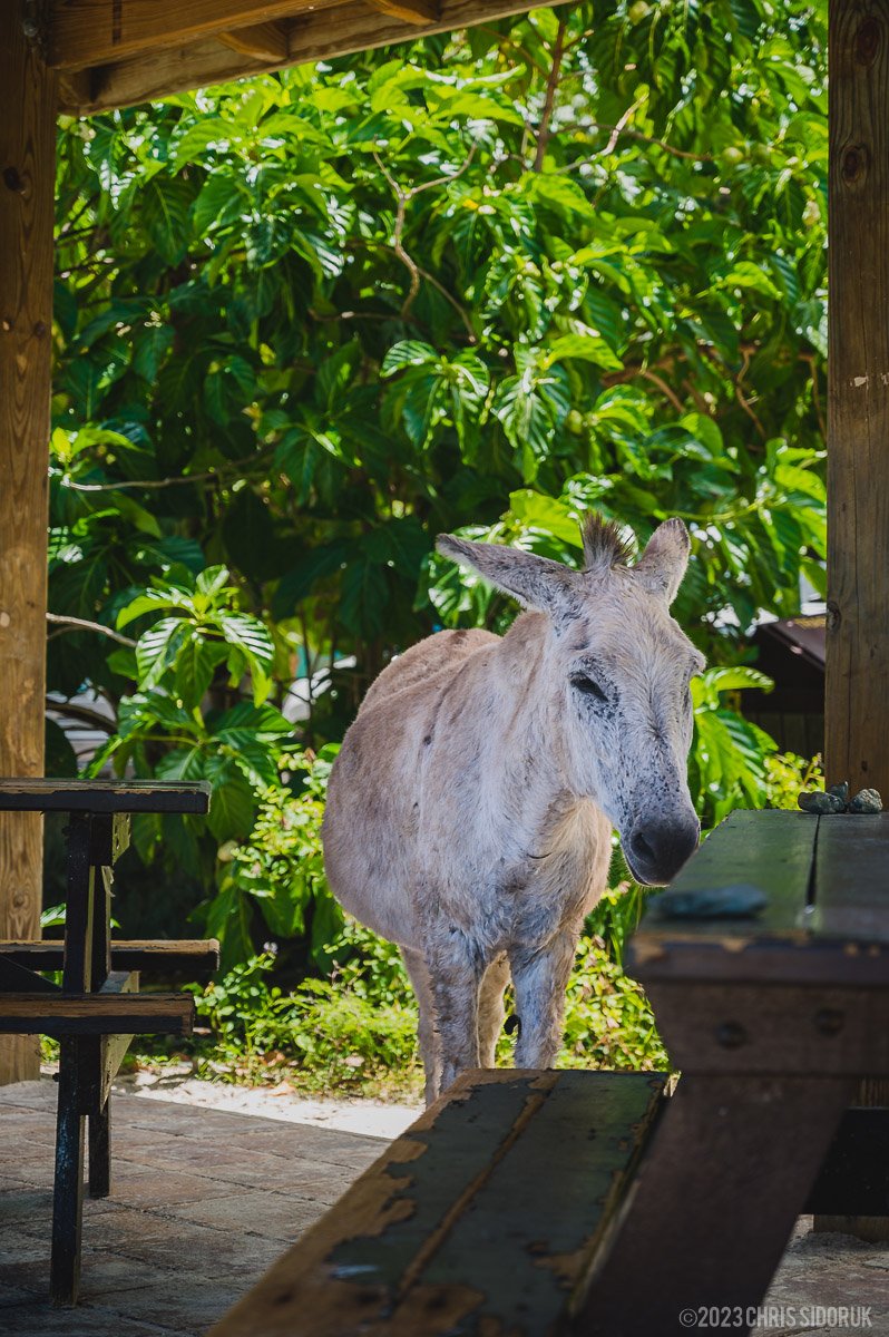 Creamery-St John-138.jpg