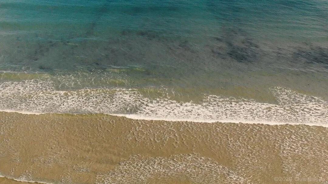 Connecticut Concert Photographer Chris Sidoruk Media