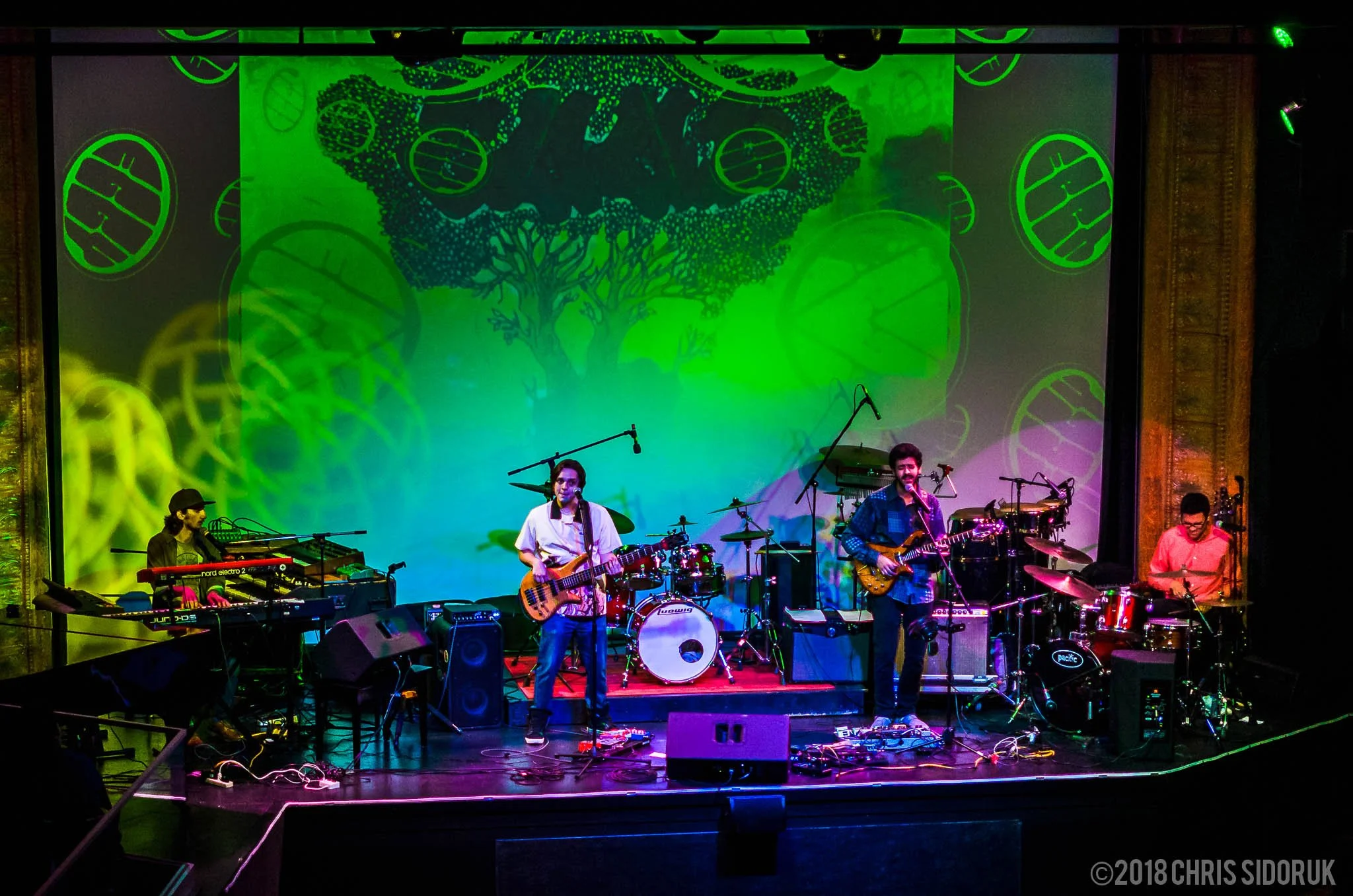 Eggy performing live under colorful stage lighting during a night show