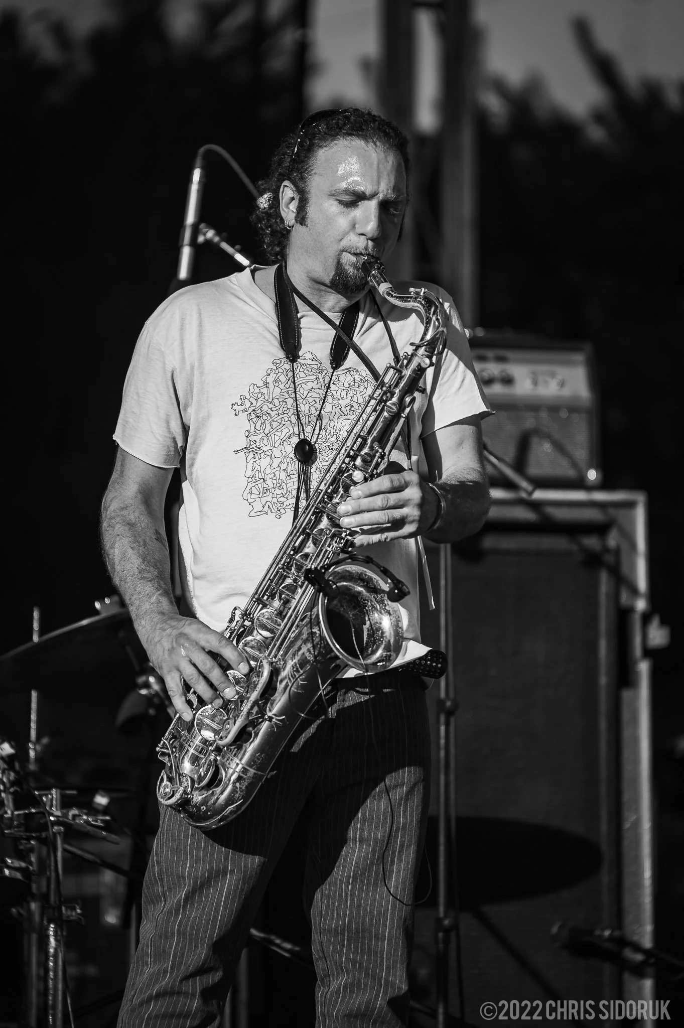 Alpaca Gnomes at Road Jam Music Festival – June 17, 2022, Stratford CT