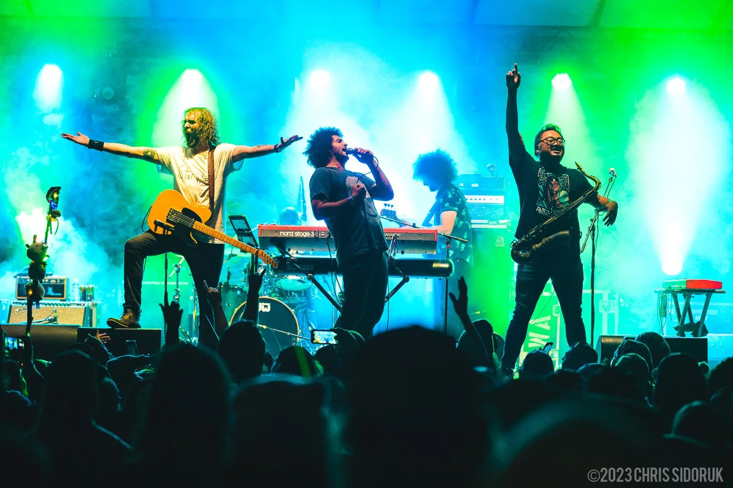 concert photography composition example live music