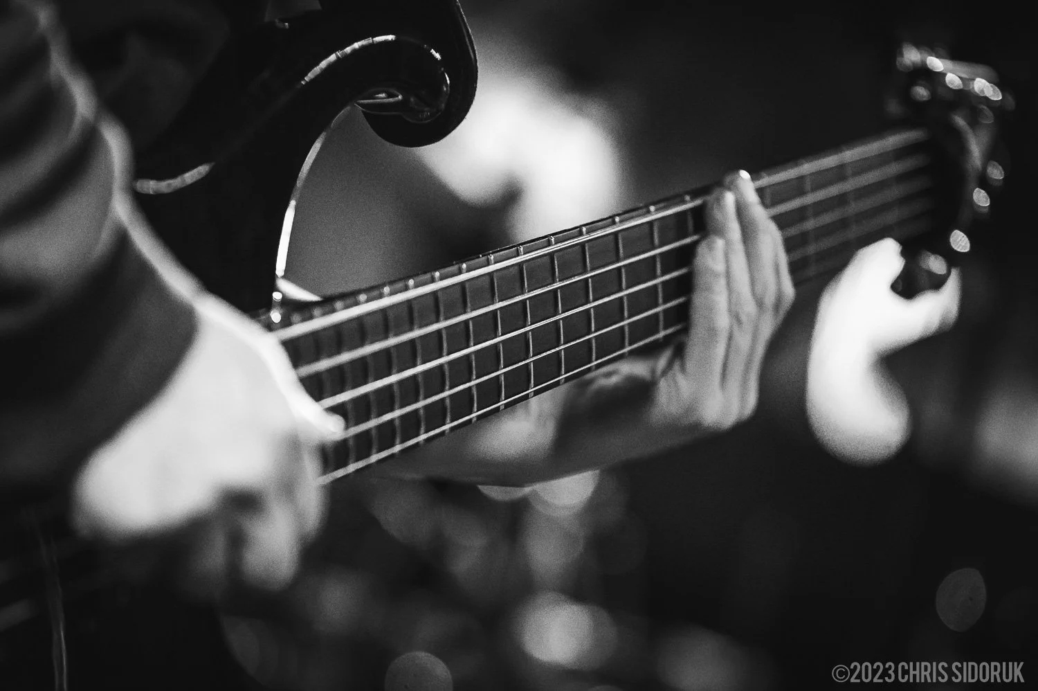 Detail closeup of a Modulus bass guitar.