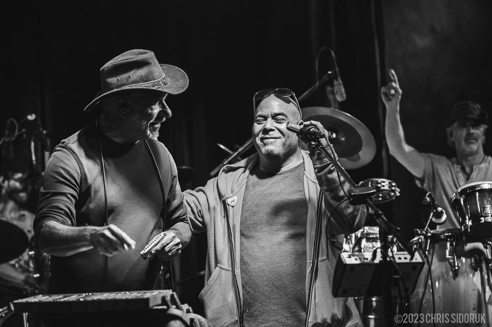 Best Camera Settings for Concert Photography (Low Light Guide)