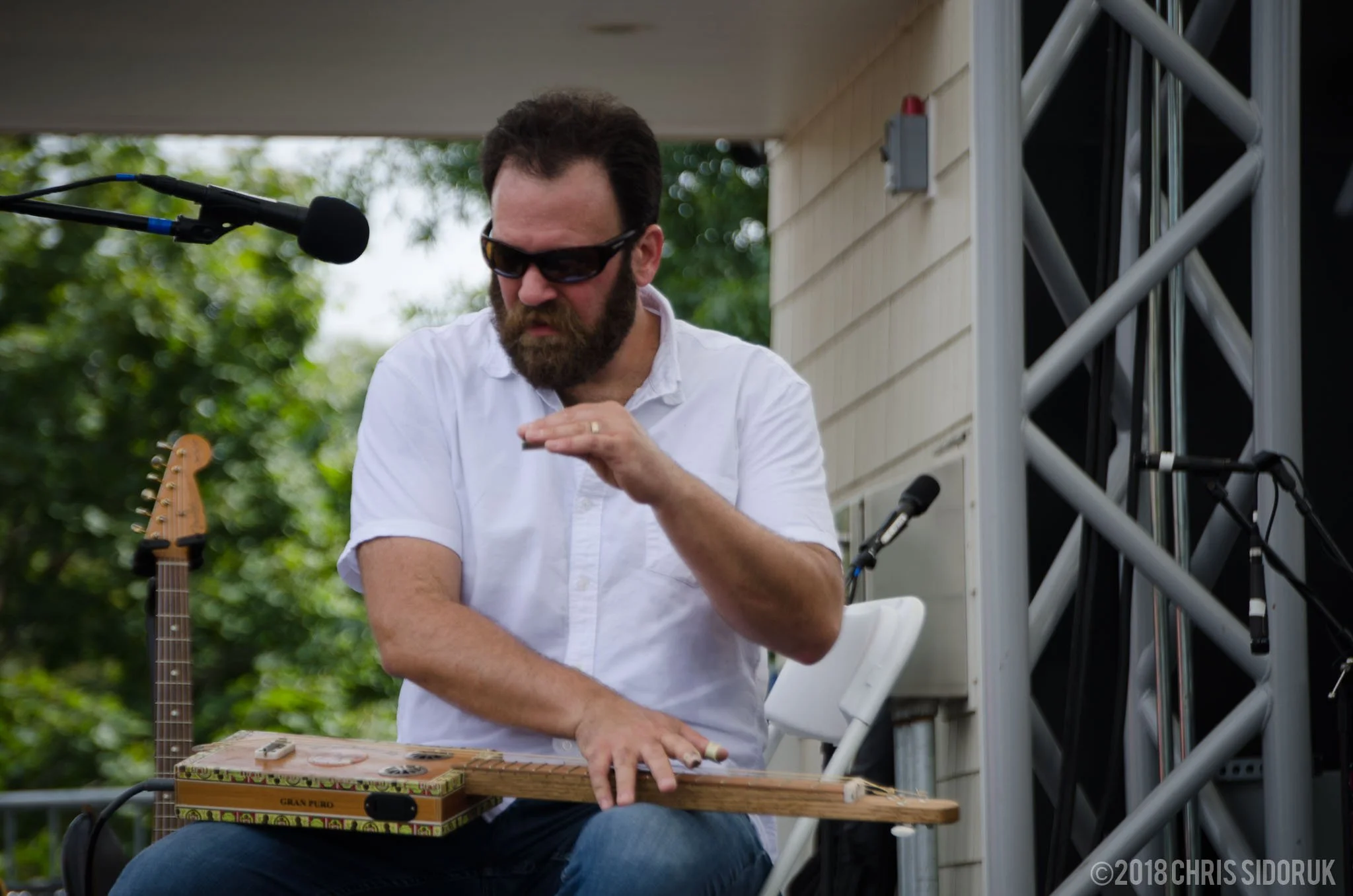 blues-views-bbq-levitt-pavilion-2018-4.jpg