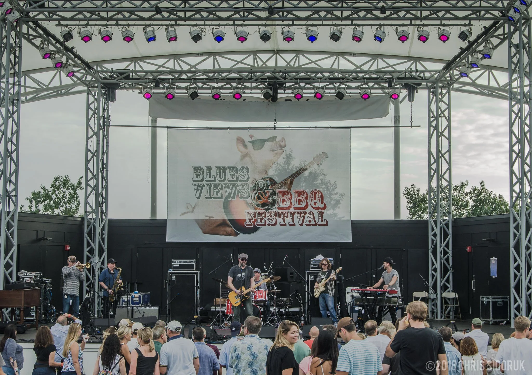 blues-views-bbq-levitt-pavilion-2018-12.jpg