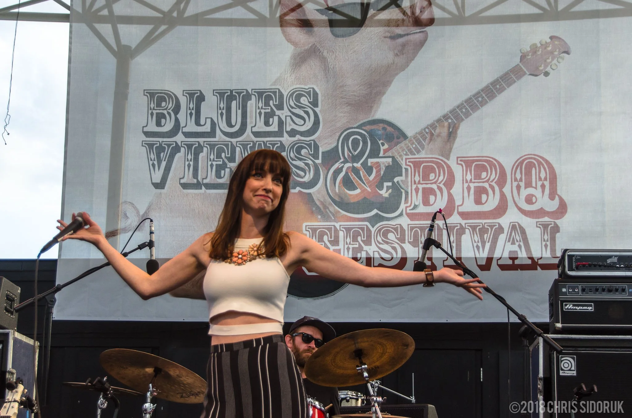 blues-views-bbq-levitt-pavilion-2018-14.jpg