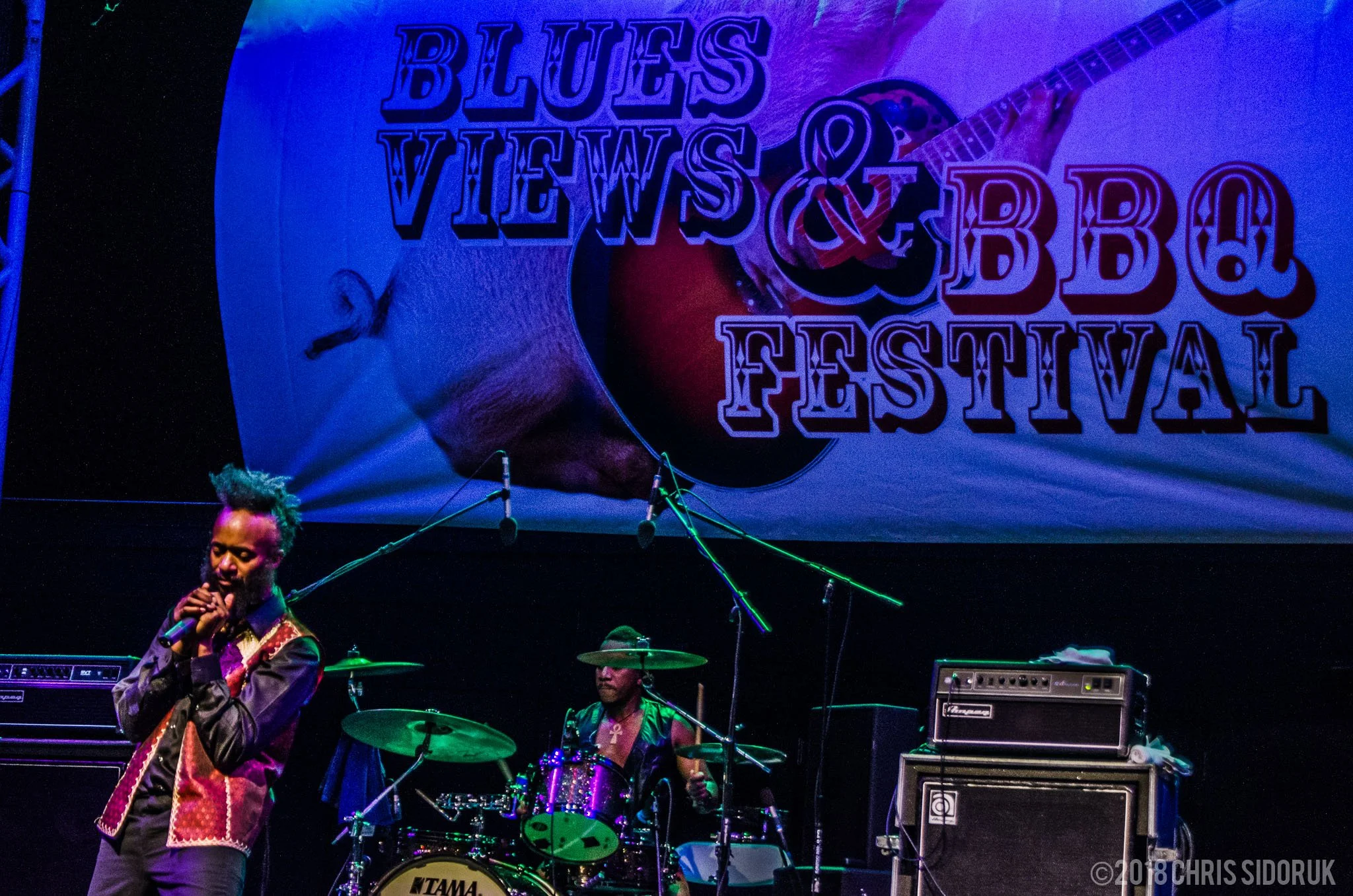 blues-views-bbq-levitt-pavilion-2018-33.jpg