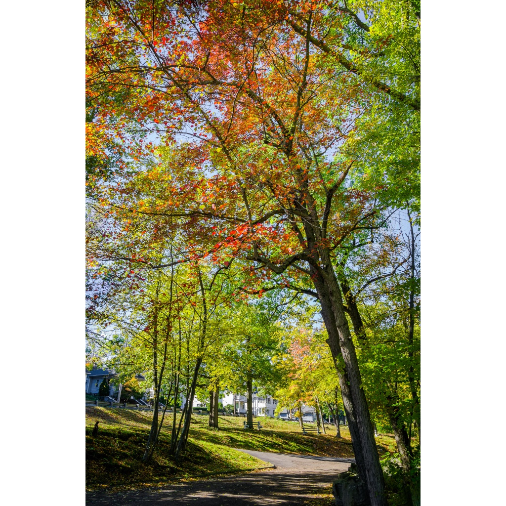 Turning Season