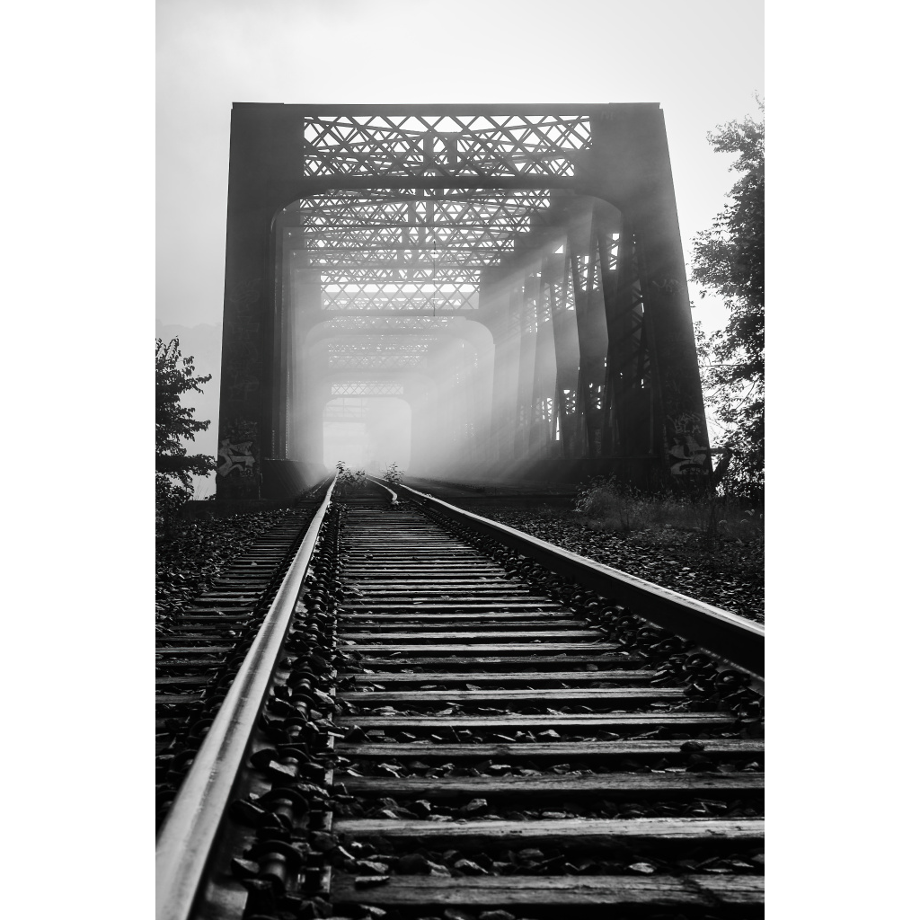 Into the Quiet
