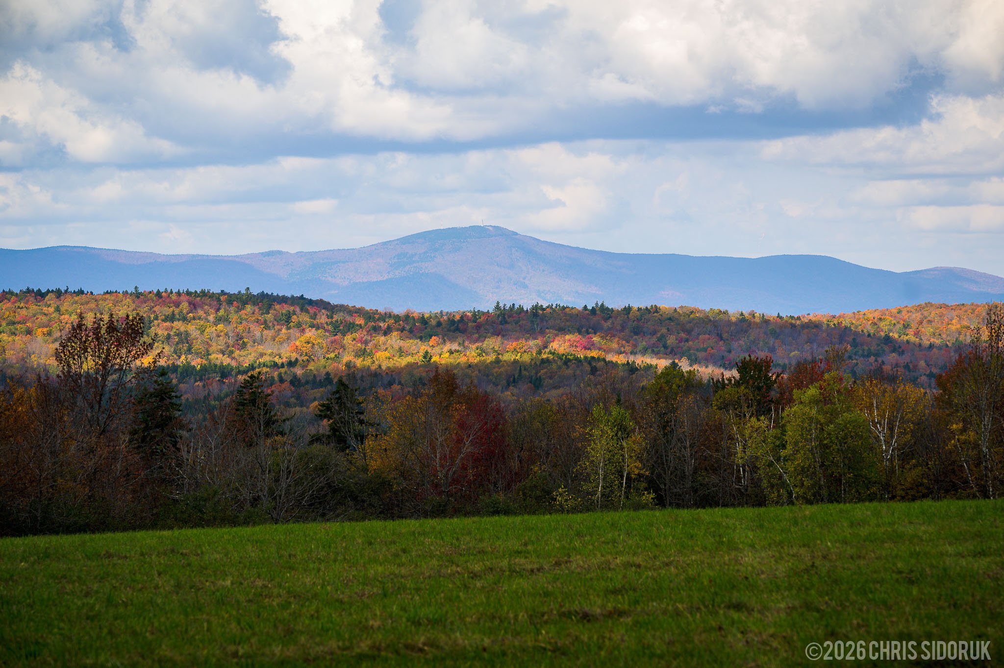 foliage-mount-greylock-berkshire-county-massachusetts.jpg