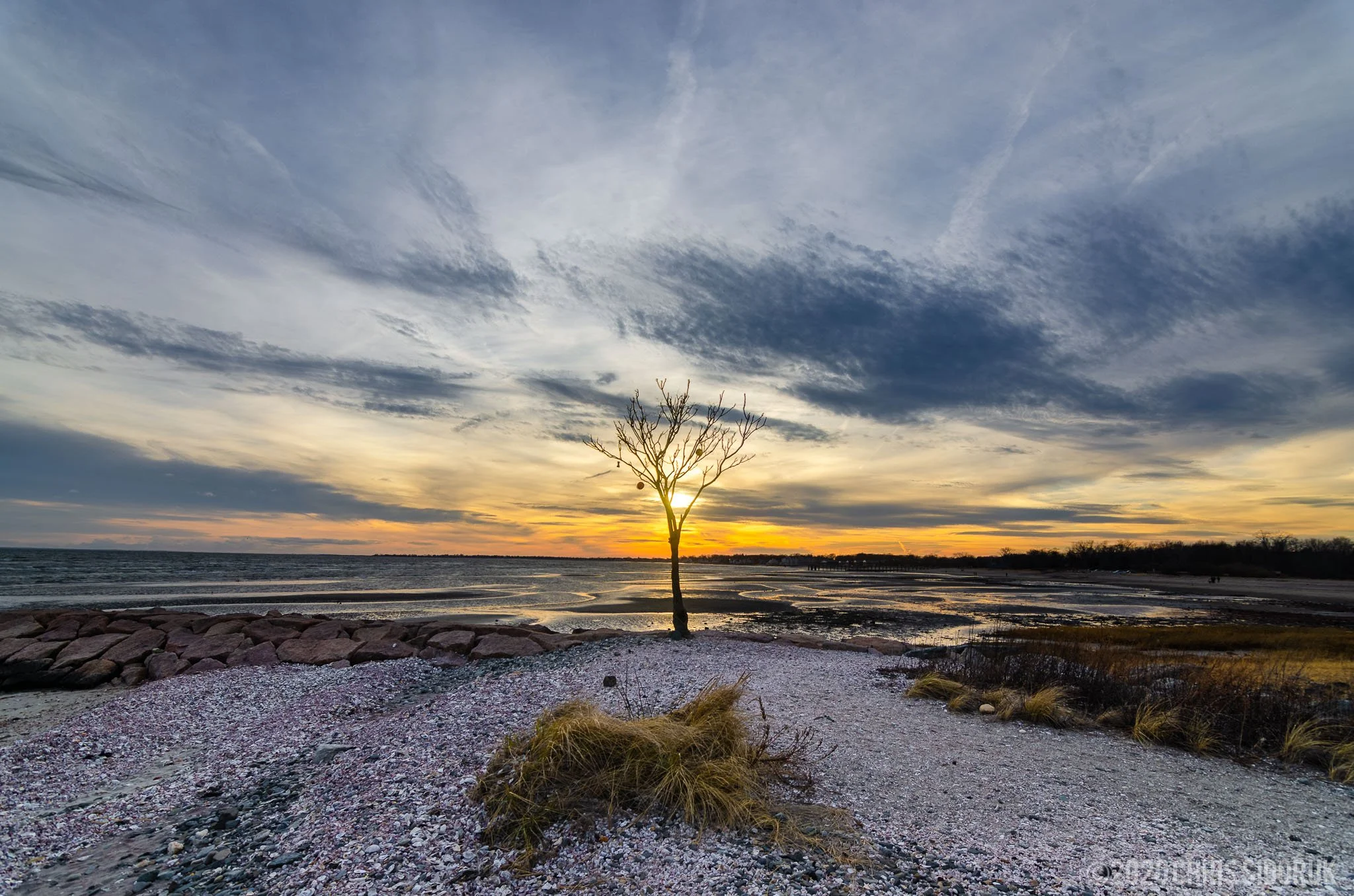 Lone tree on rocky jetty at Walnut Beach during sunset in Milford, Connecticut with Long Island Sound in the background