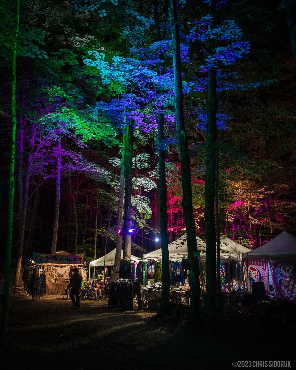 The woods lit up at Strange Creek Music Festival.