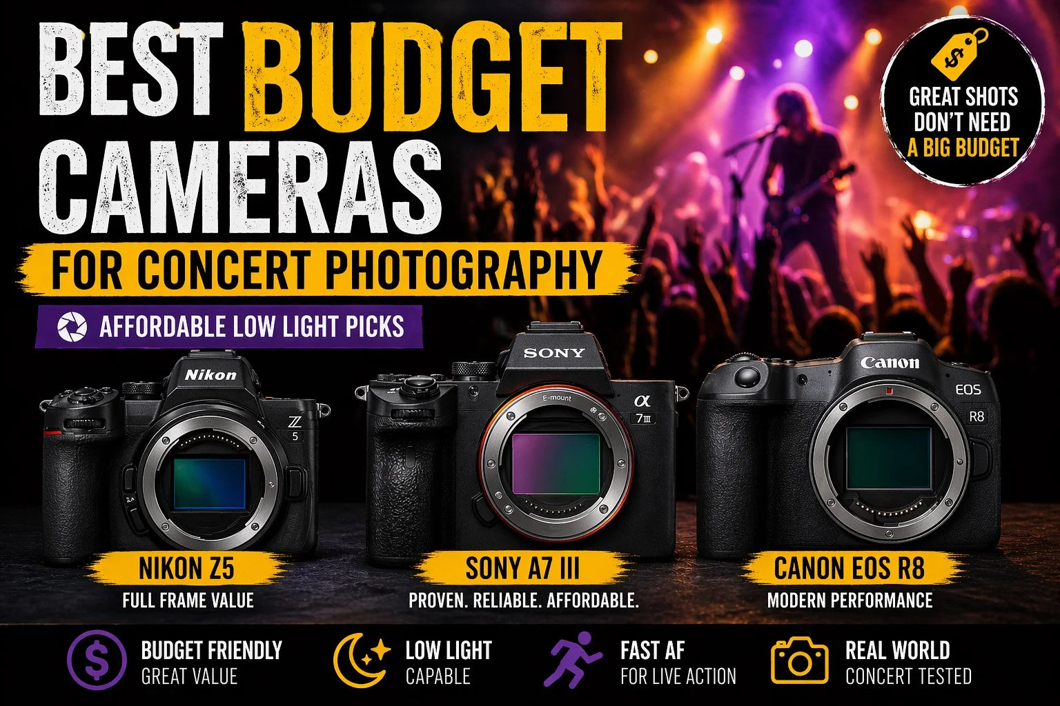 best budget cameras for concert photography