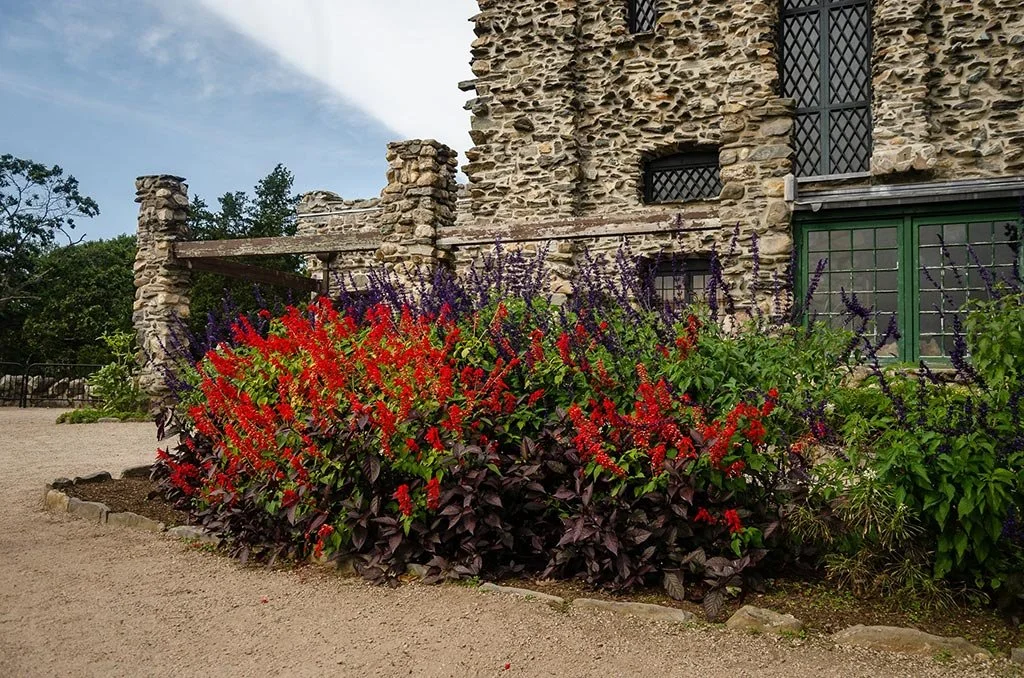 Vibrant flowers in full bloom at Gillette Castle, showcasing natural beauty and colors.