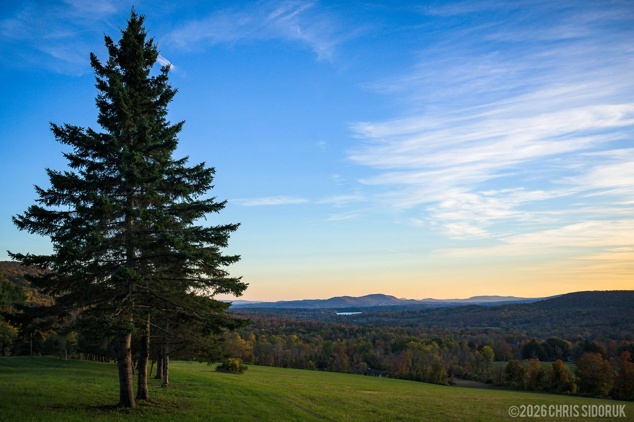 Open field with evergreen trees overlooking the Berkshire hills at dusk with Mount Greylock visible in the distance.